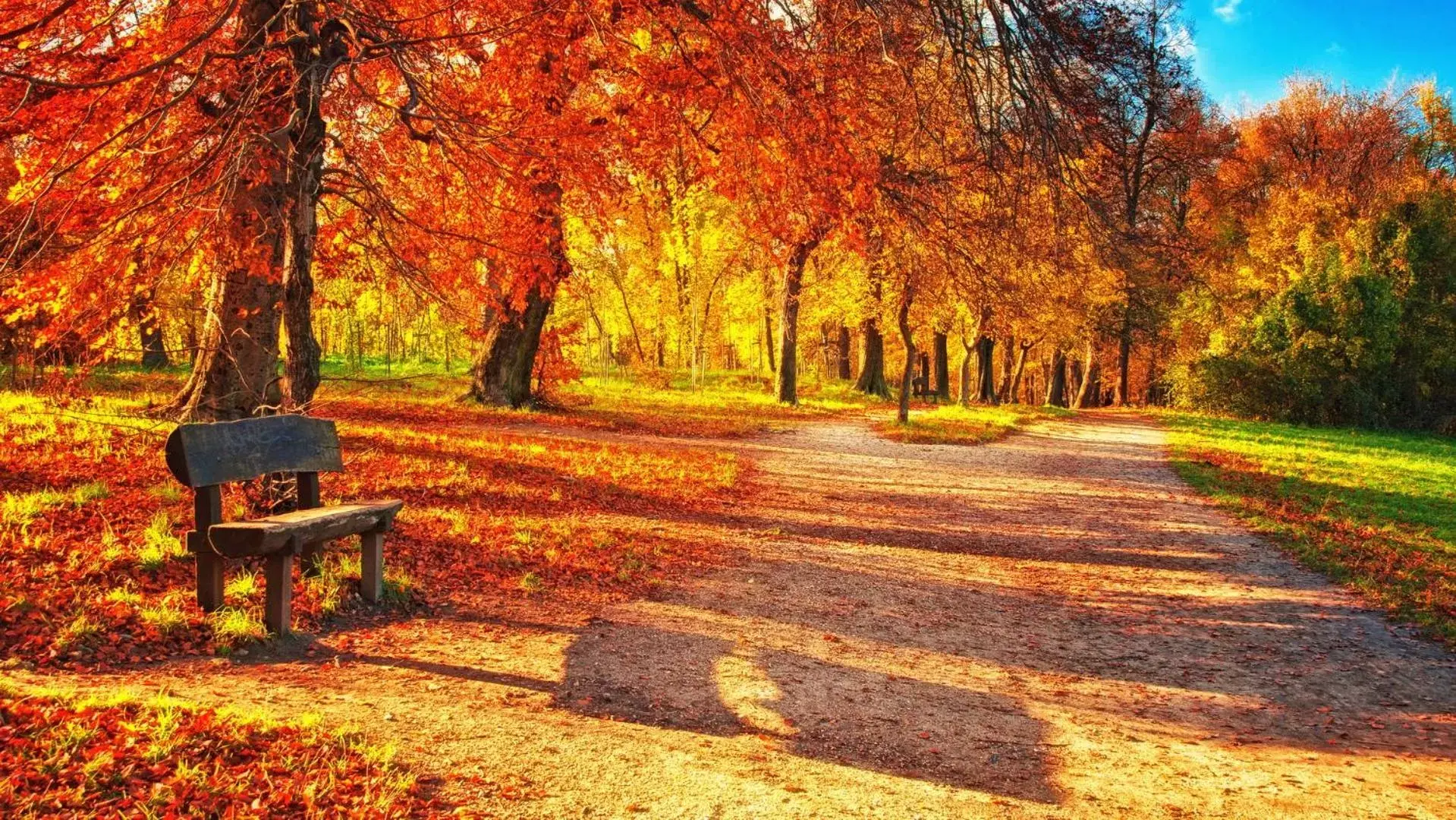 Autumn, Garden in Hotel ANDER