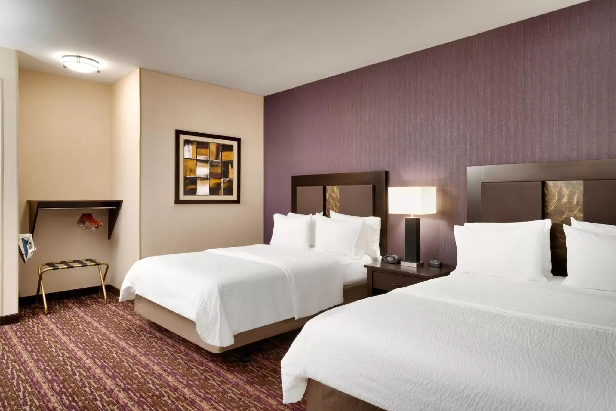 Photo of the whole room, Bed in Holiday Inn Express Hotel & Suites Billings, an IHG Hotel