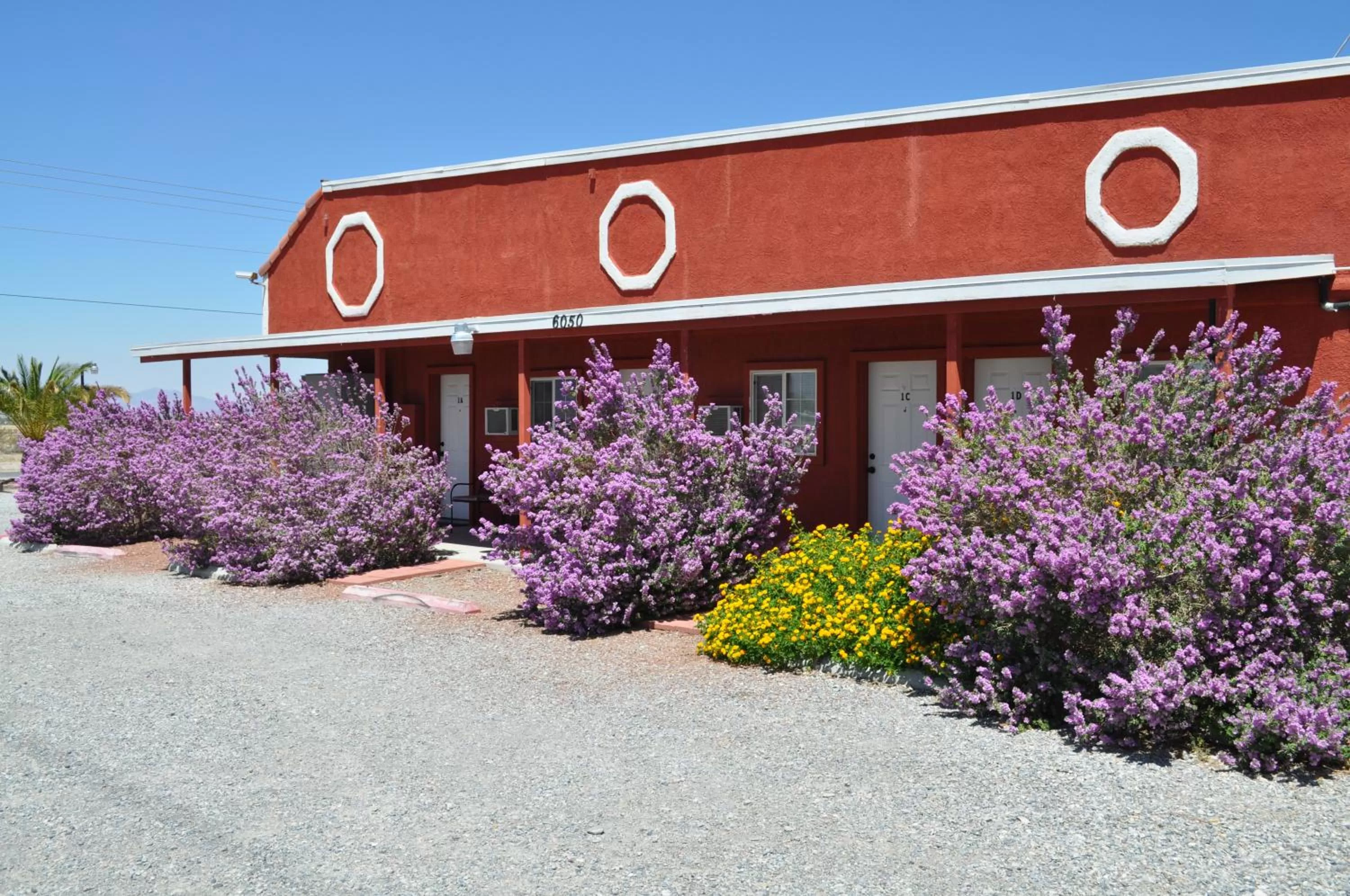 Property Building in K7 Bed and Breakfast