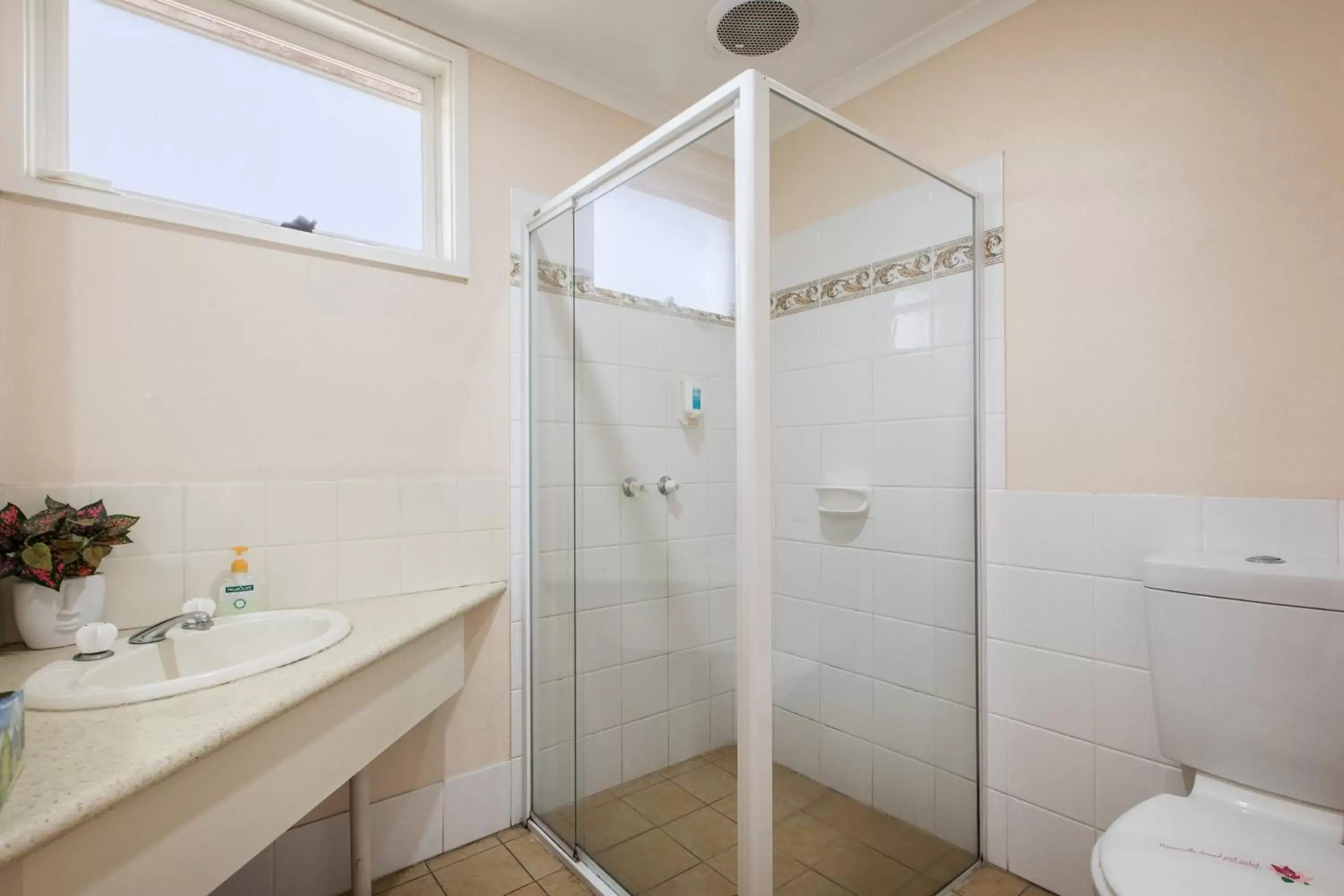 Shower, Bathroom in Australia Park Motel