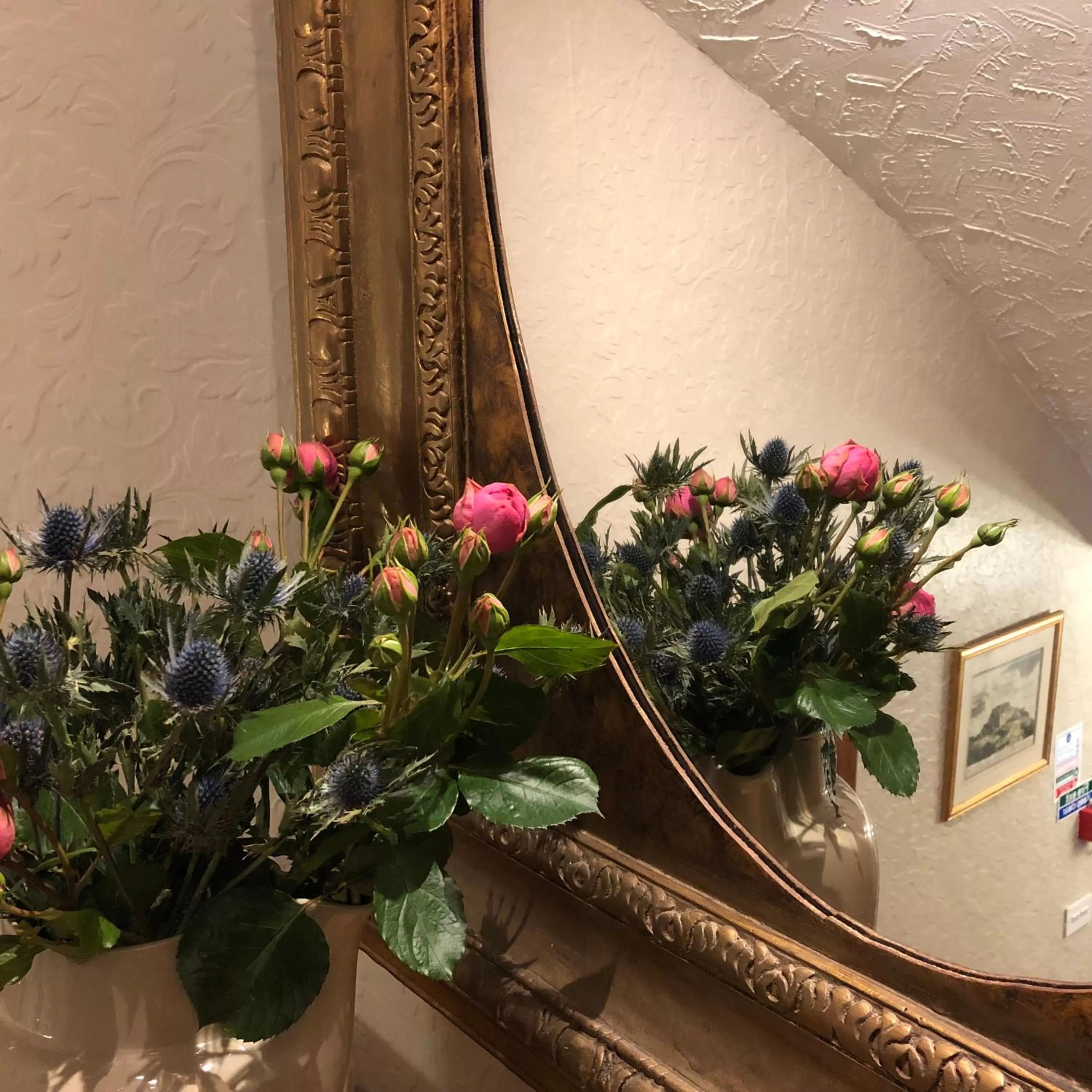 Facade/entrance in Castle Walk Bed & Breakfast