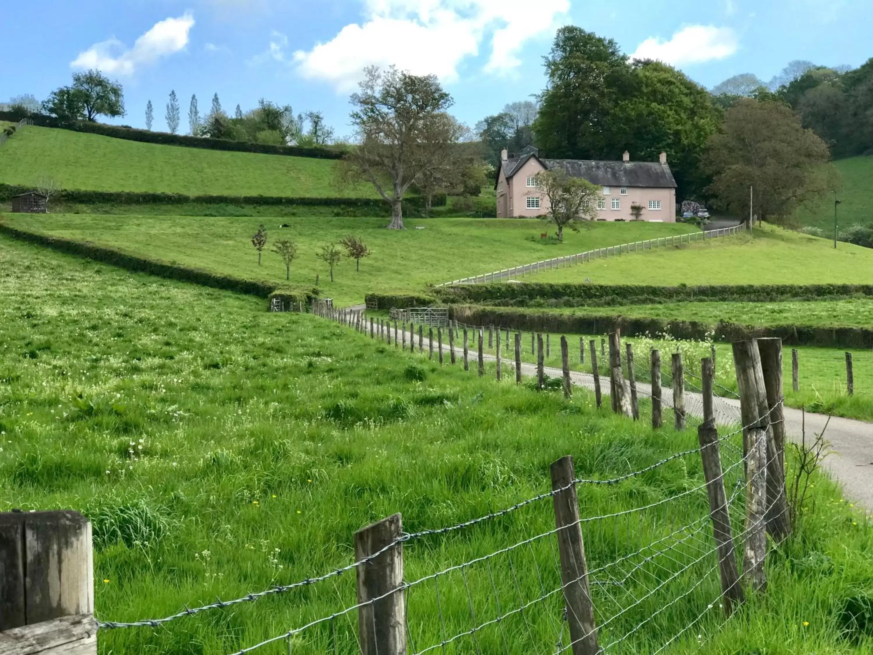 Garden view, Garden in Walnut Tree Farm