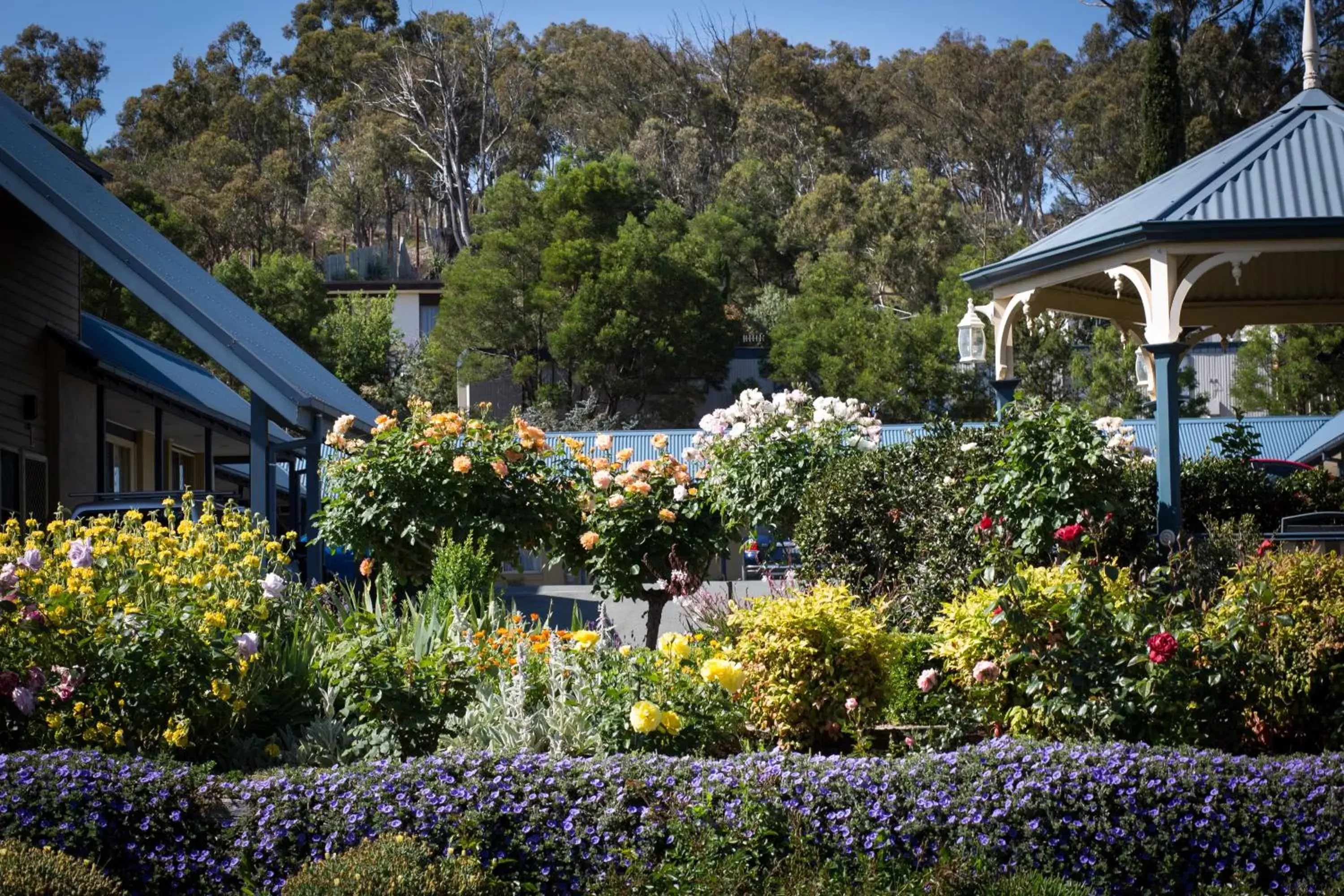 Garden in Willows Motel