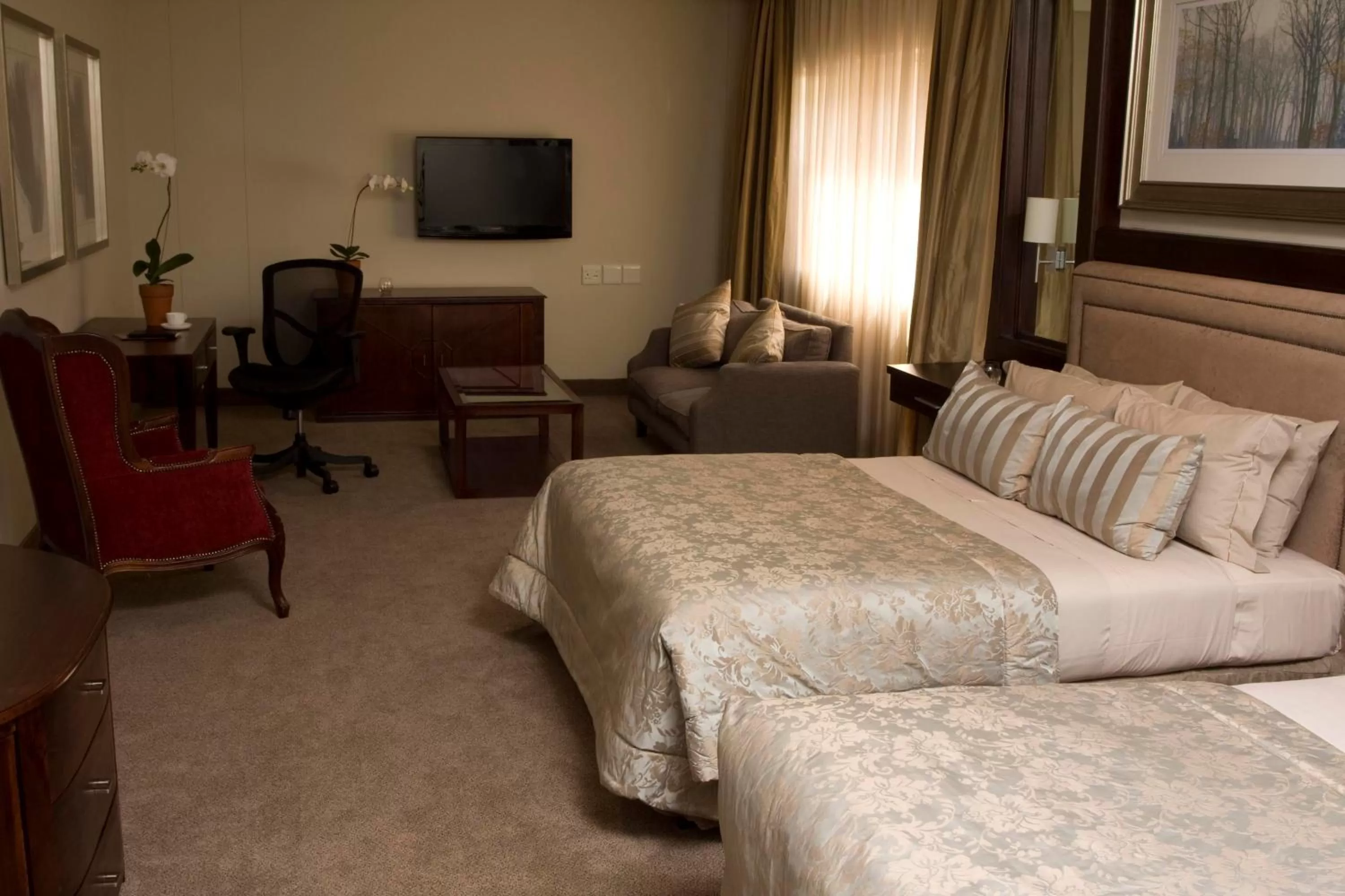 Living room, Bed in Apollo Hotel