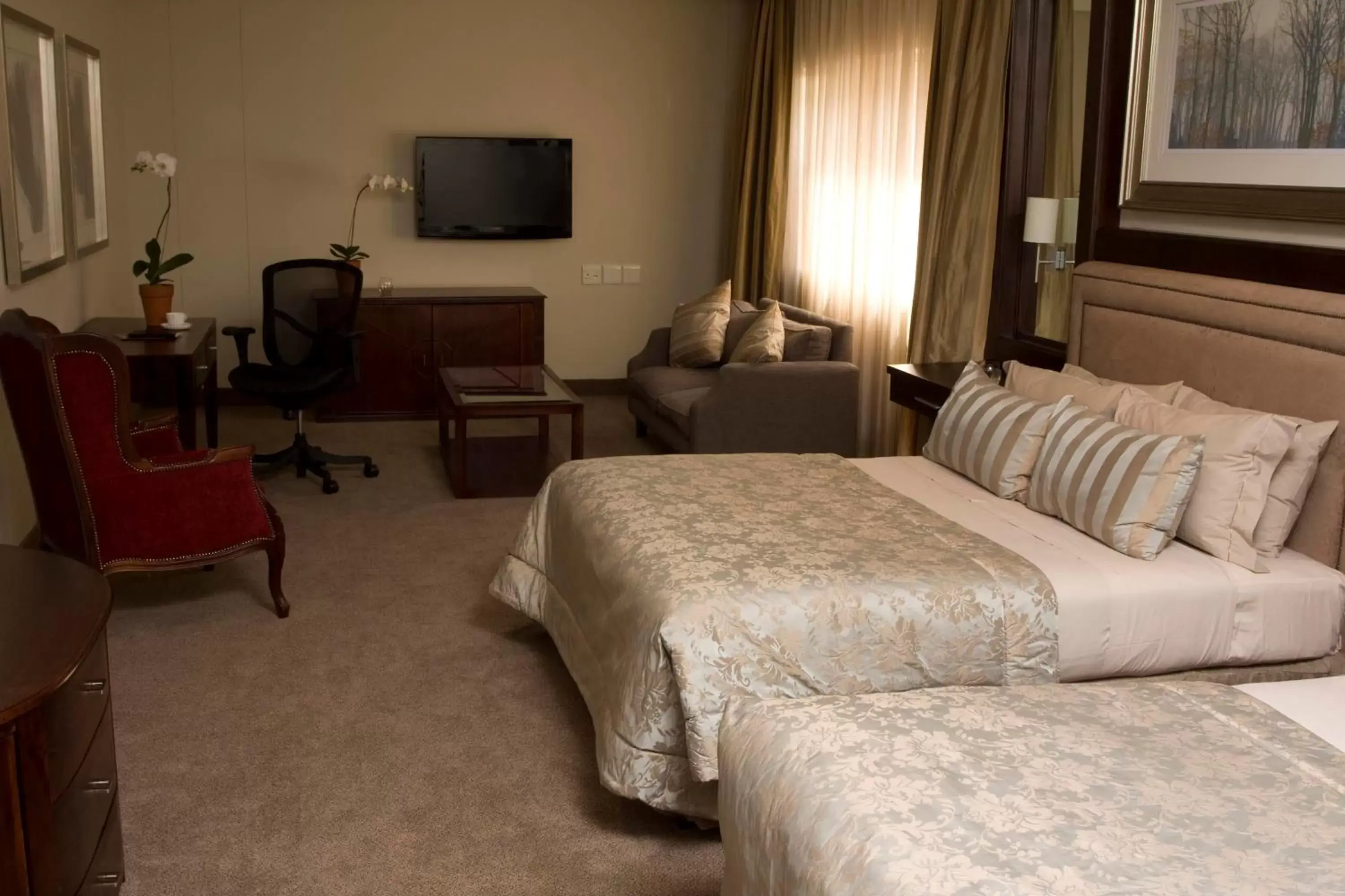 Living room, Bed in Apollo Hotel Living room, Bed in Apollo Hotel