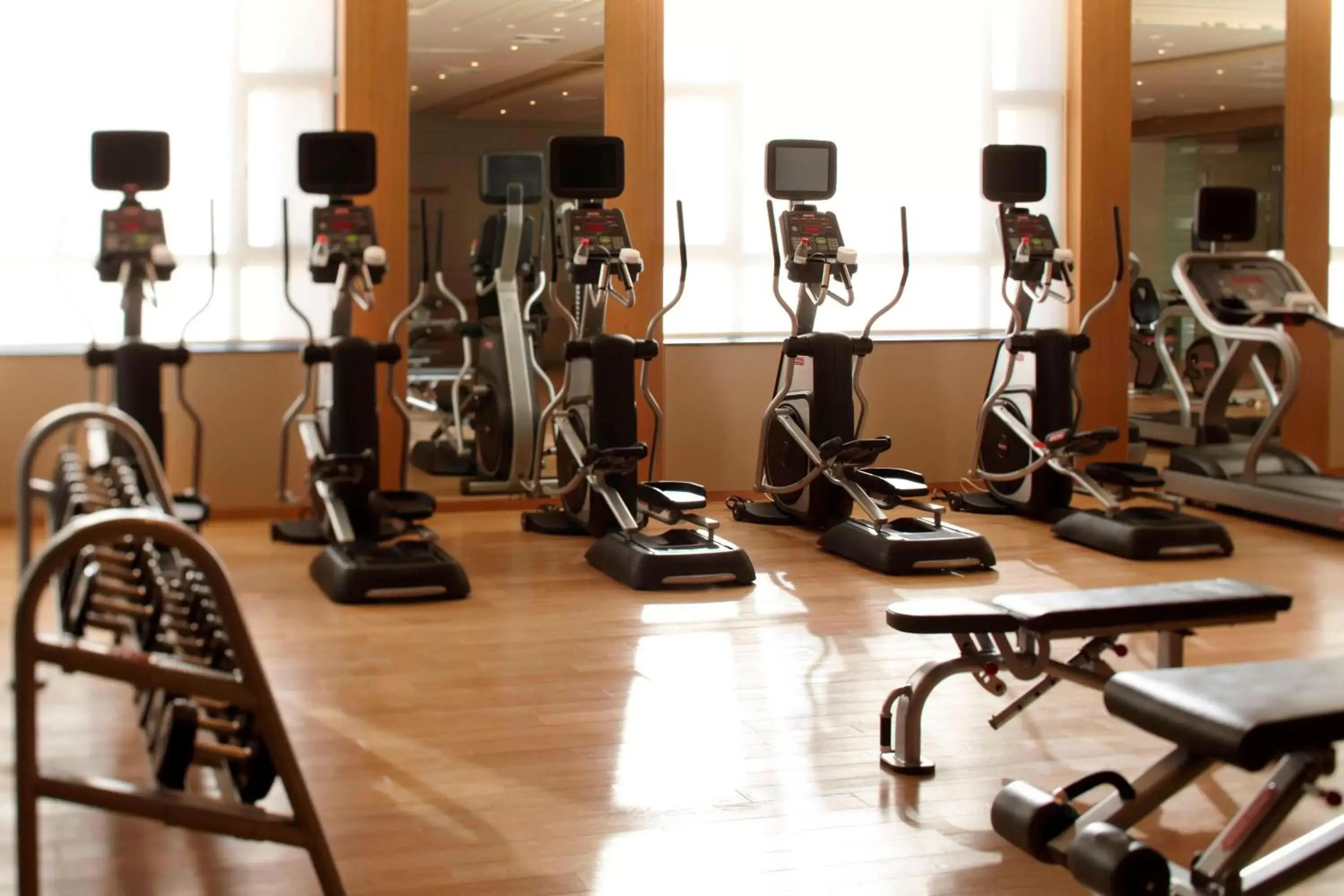 Fitness centre/facilities, Fitness Center/Facilities in Renaissance Tianjin Lakeview Hotel