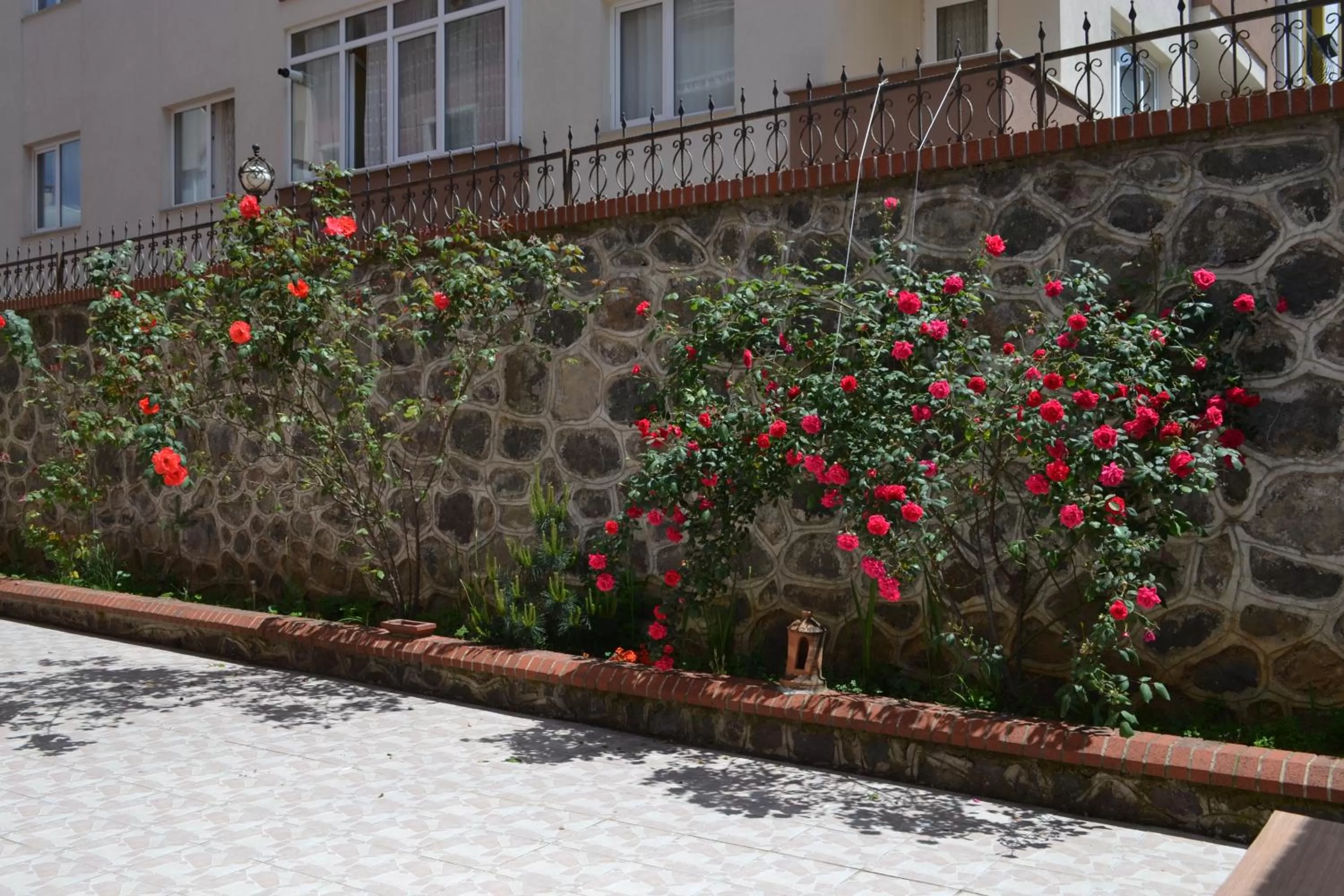 Garden in The Twins Apartmens