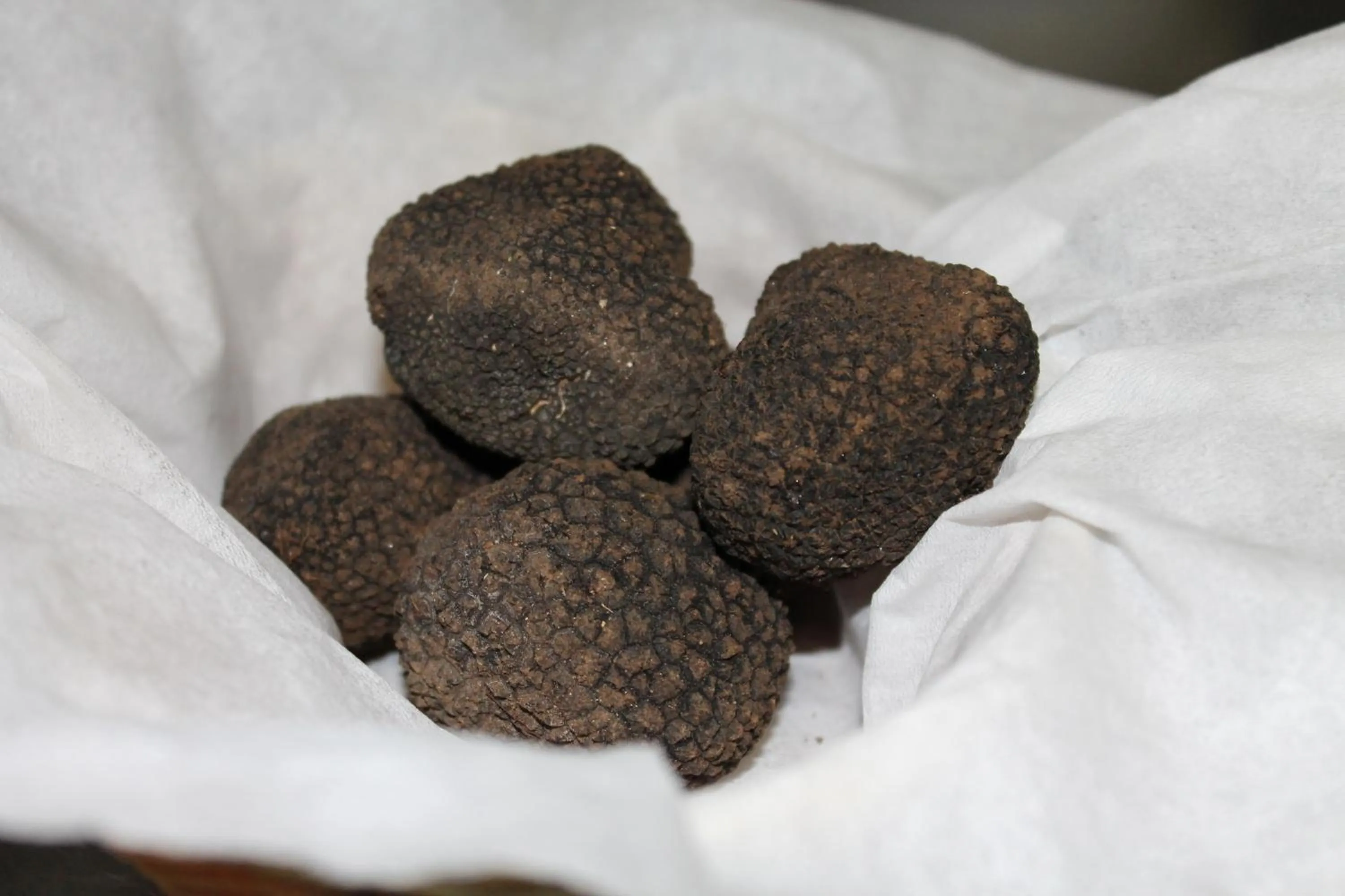 Logis Hotels- Auberge de la Tour - Hôtel et restaurant