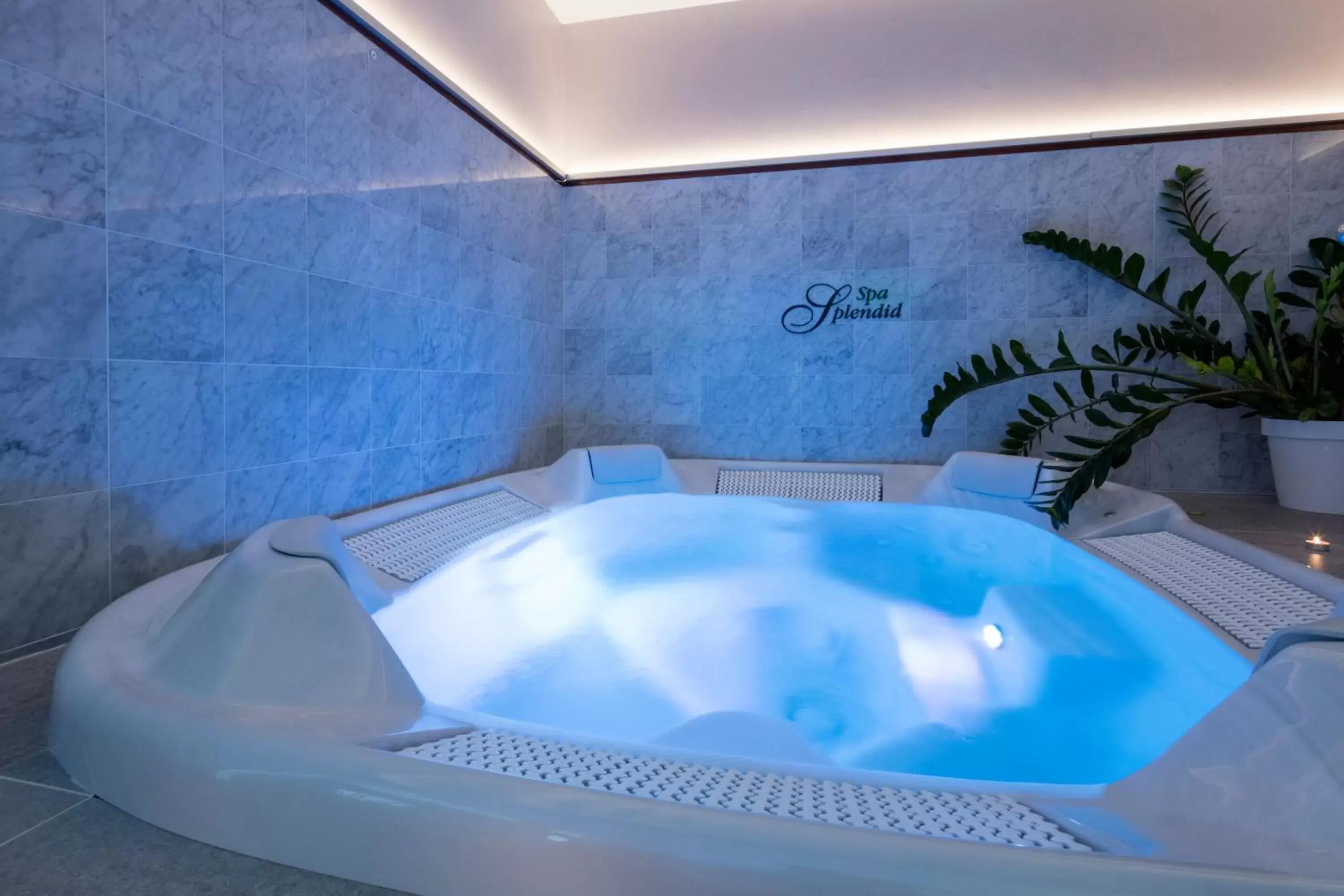 Hot Tub, Swimming Pool in Splendid Hotel & Spa Nice