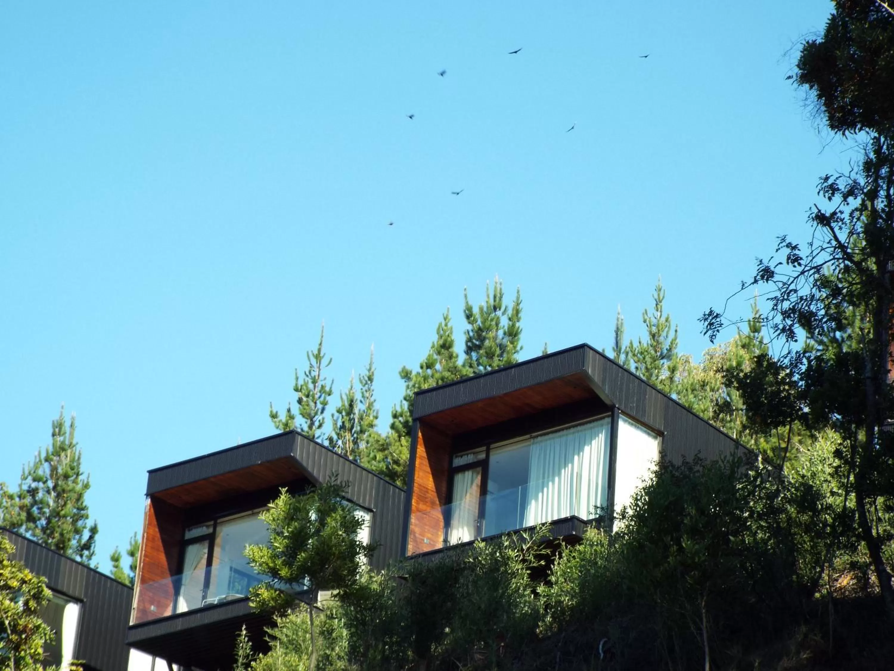 Property building in Pura Lodge