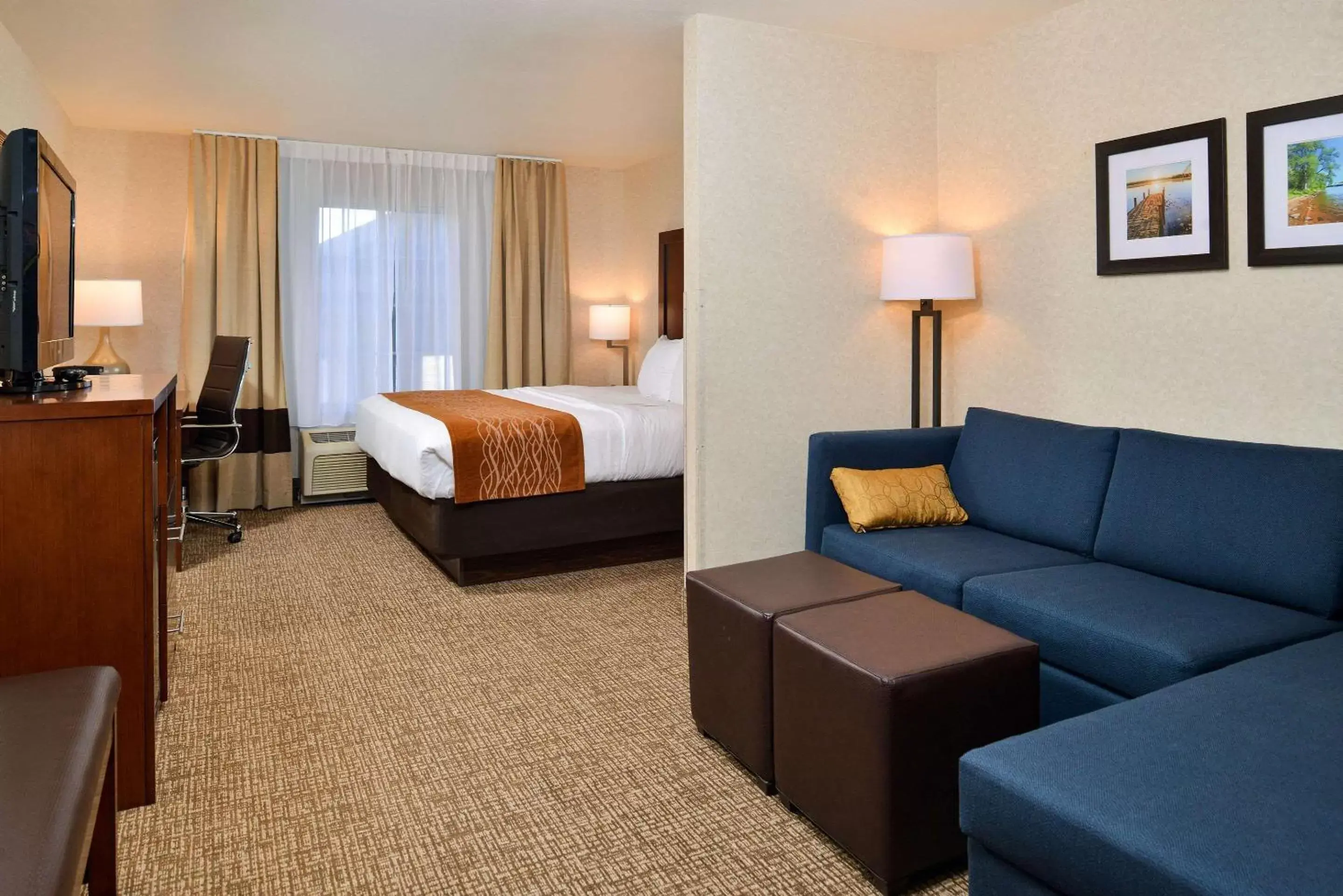 Photo of the whole room in Comfort Inn & Suites DeForest