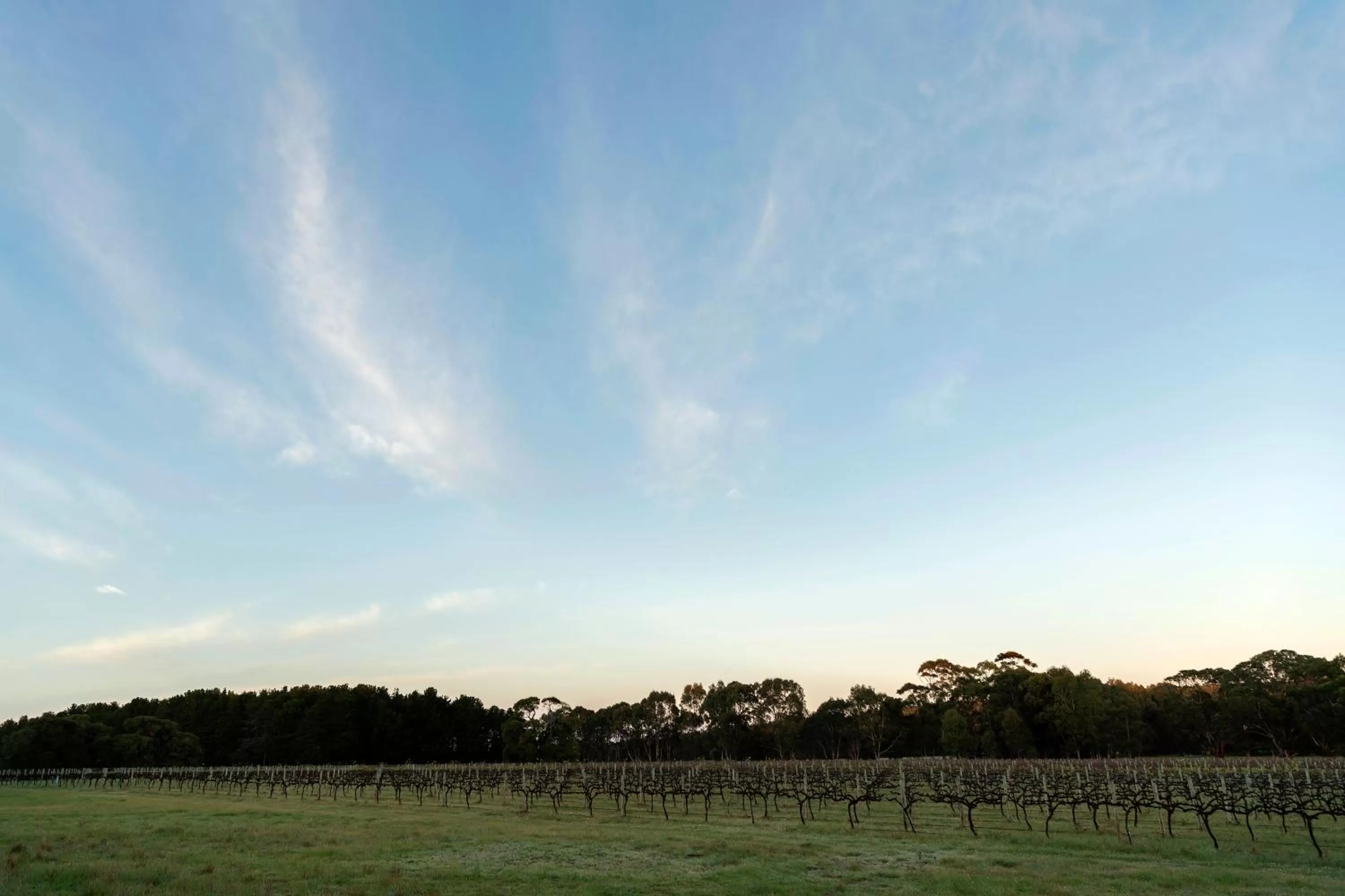 Sunset in Yala Yallingup Retreat & Spa
