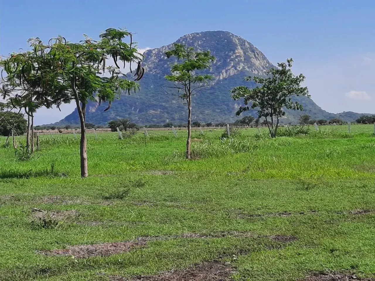 Natural Landscape in Hacienda Santa Clara Morelos