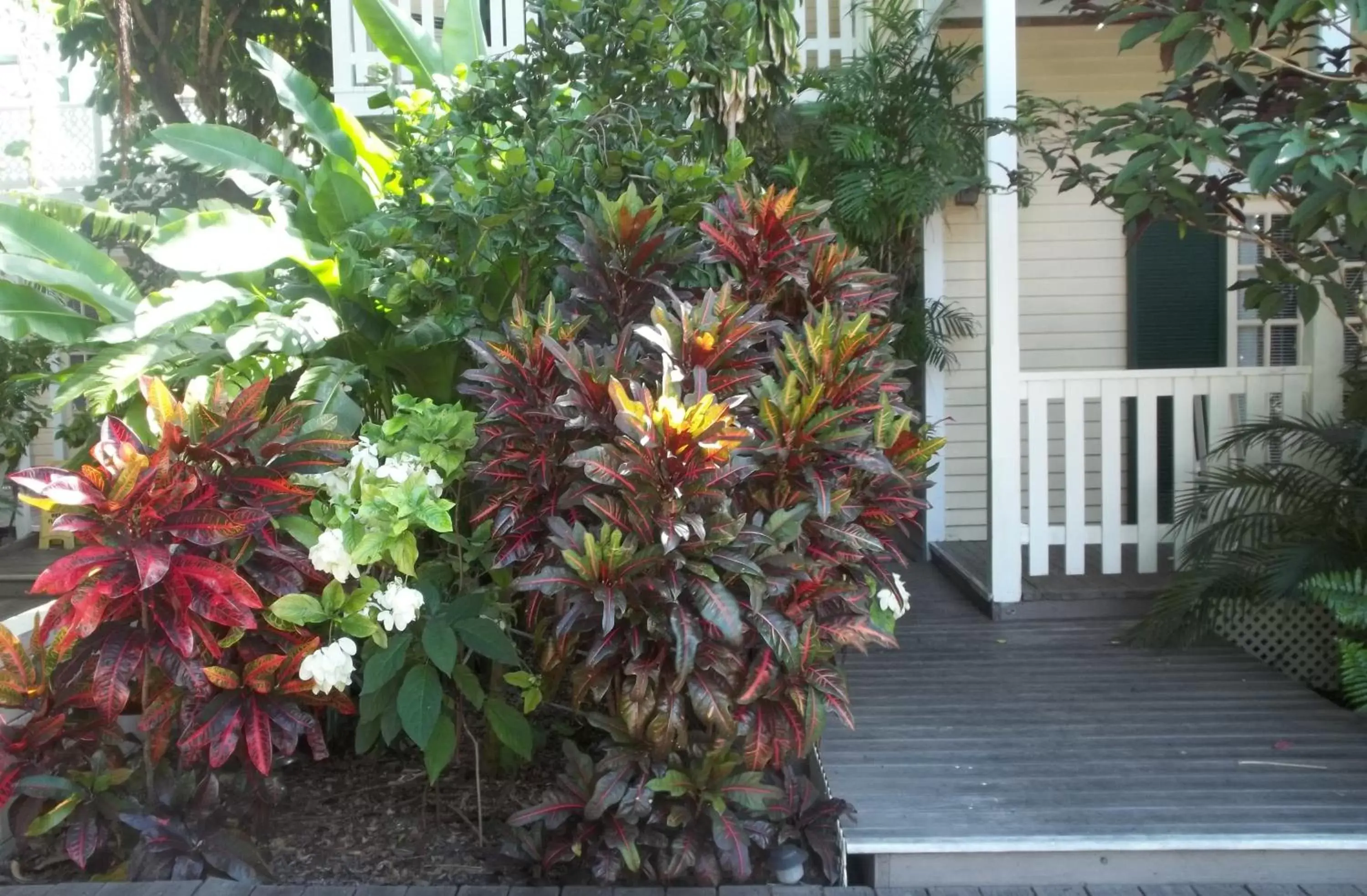 Facade/entrance, Garden in Duval House