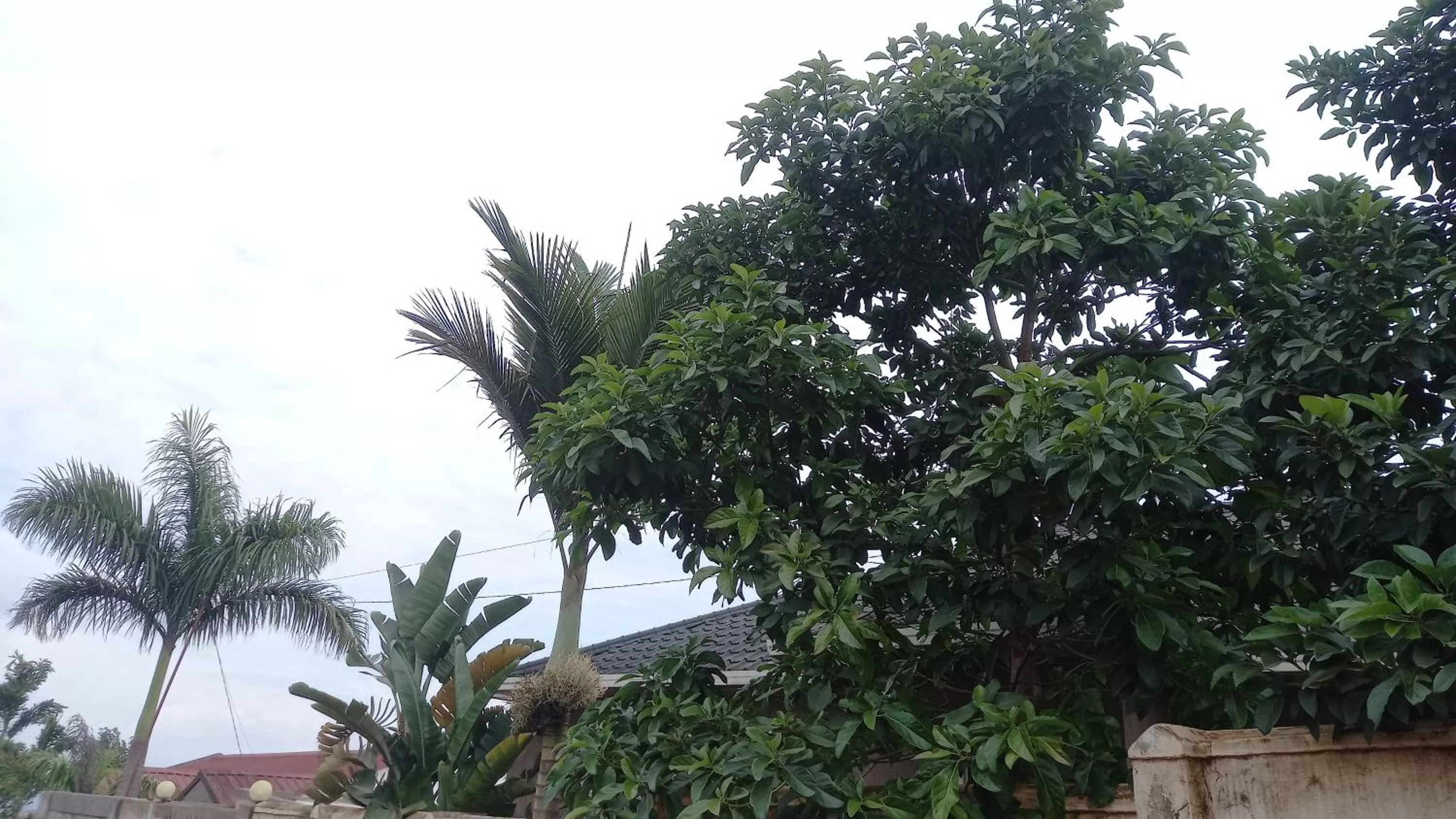 Tommy's Budget Rooms