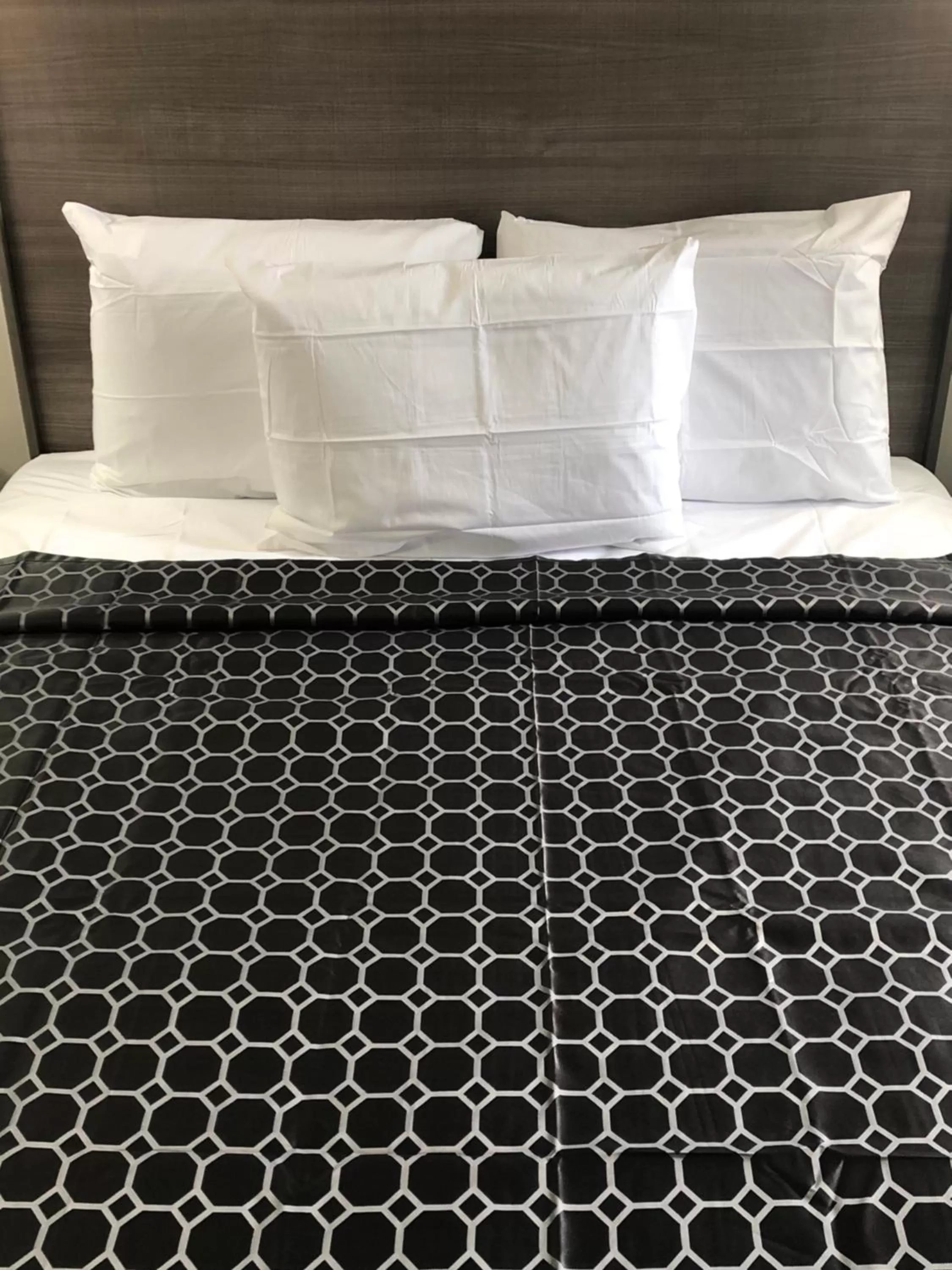 Bed in Trolley Stop Motel, Media ,Near PHL Airport PA