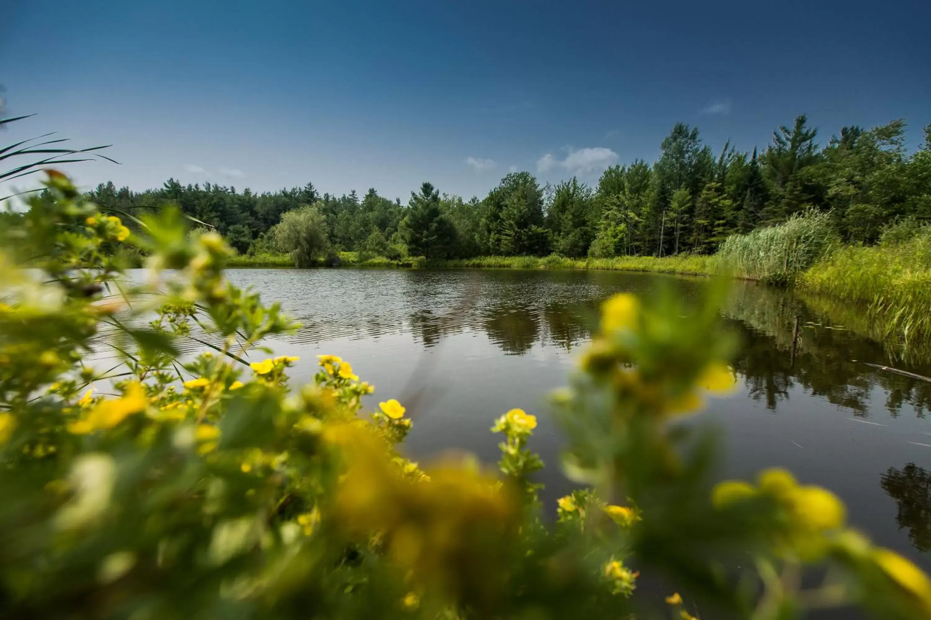 Fishing, River View in Domaine Jolivent