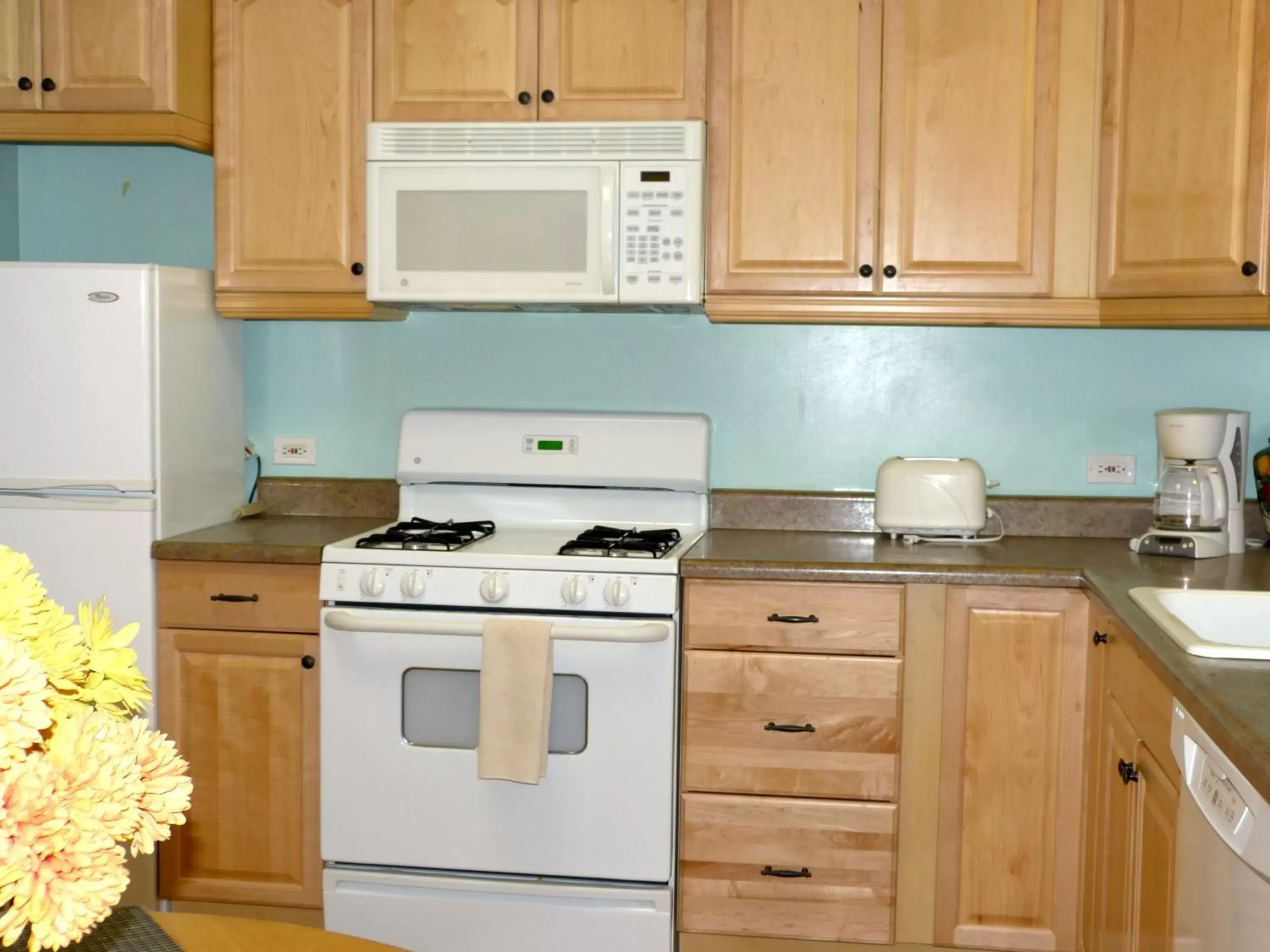 Kitchen or kitchenette, Kitchen/Kitchenette in Halcyon Heights B&B/Inn