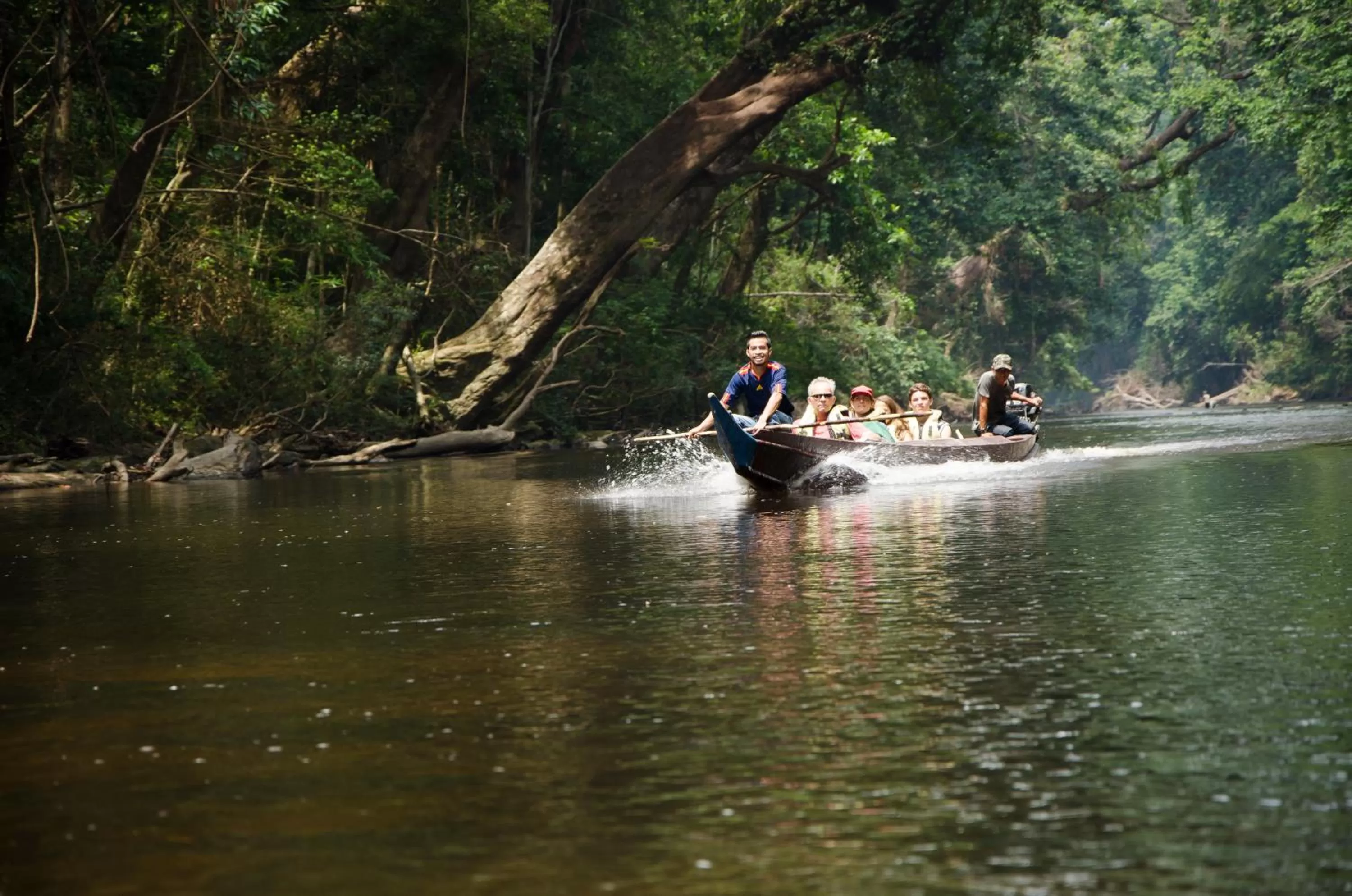 Natural landscape in Mutiara Taman Negara