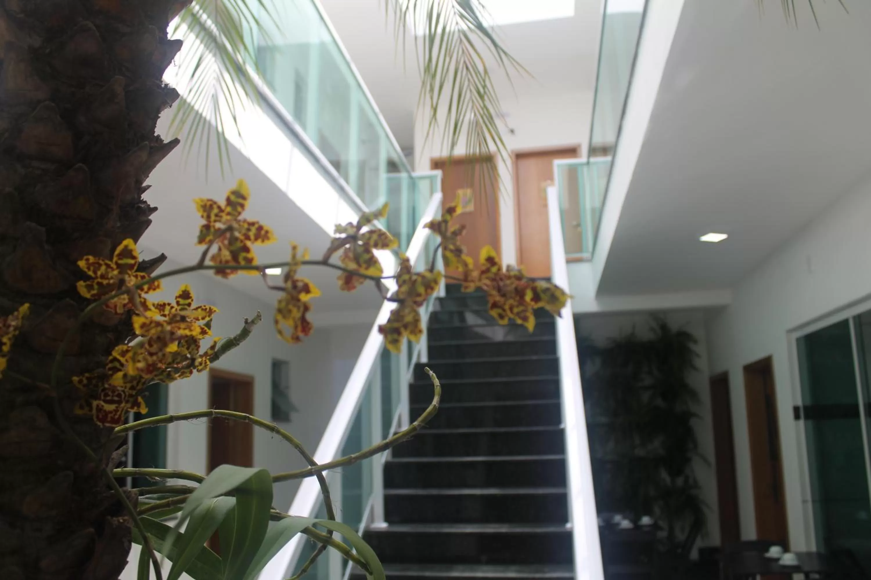 Pousada Orquideas de Maria