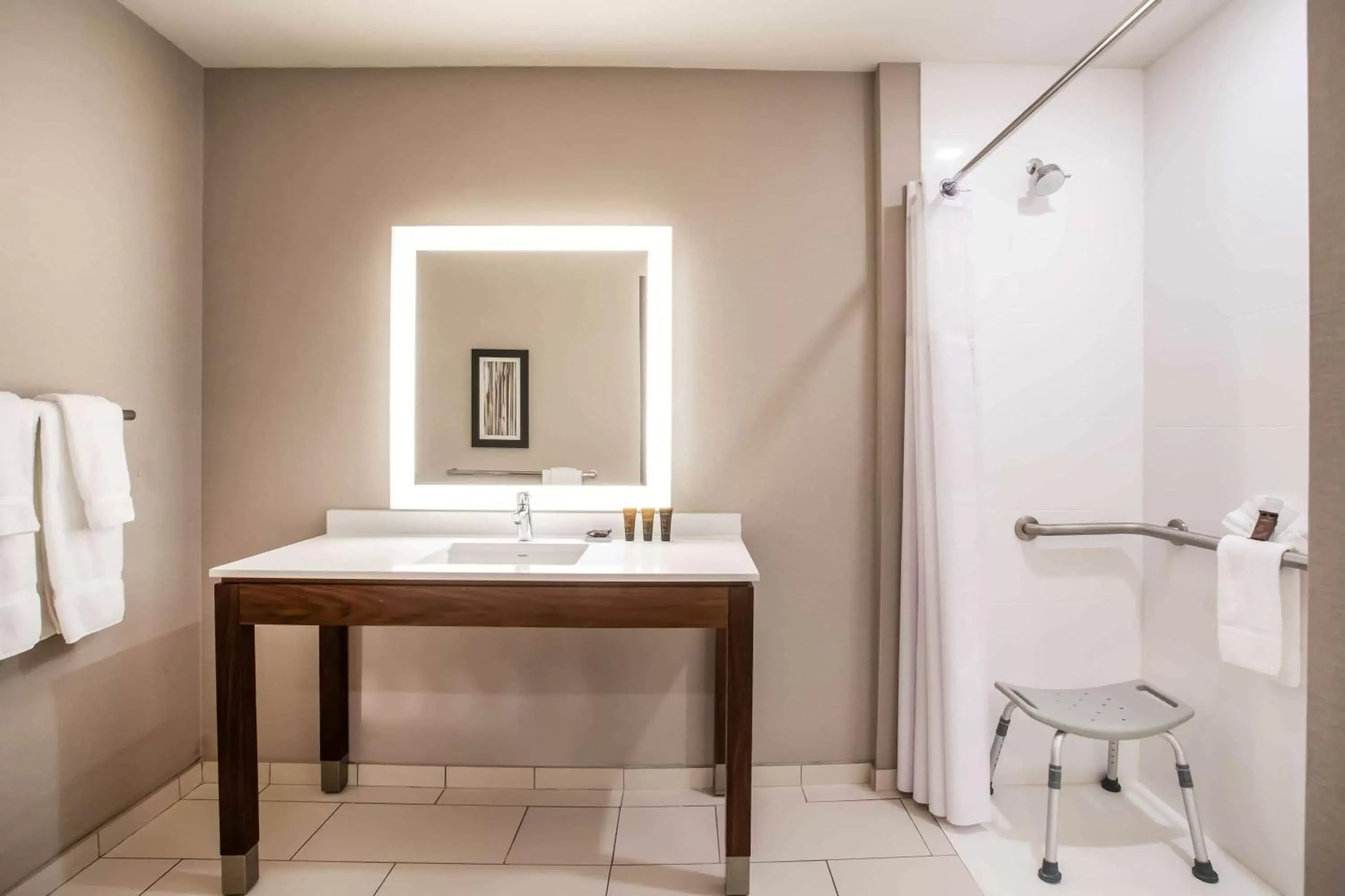 Shower, Bathroom in Wingate by Wyndham Denver Airport