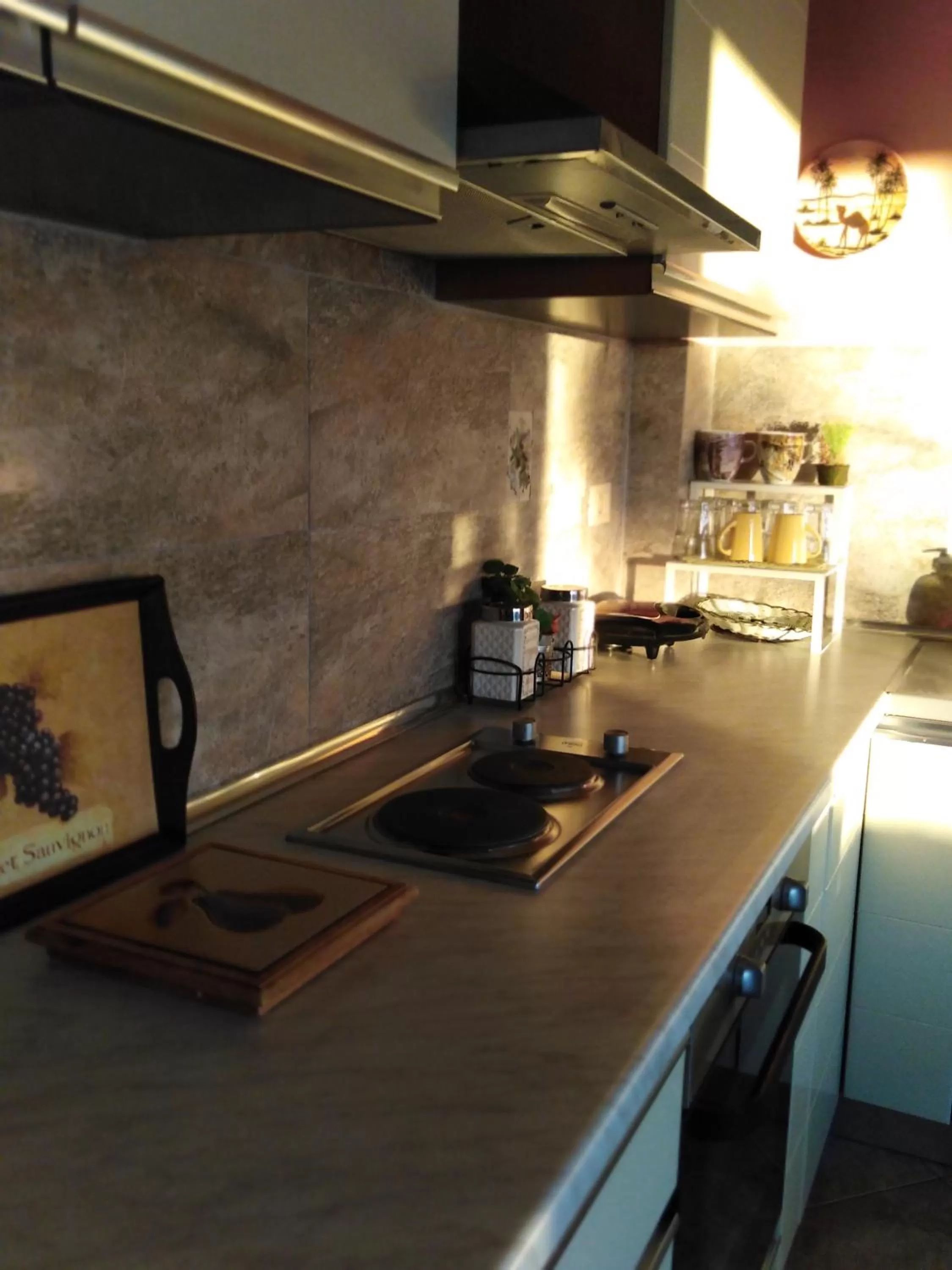 Kitchen or kitchenette, Kitchen/Kitchenette in Jelena's Luxury Apartments