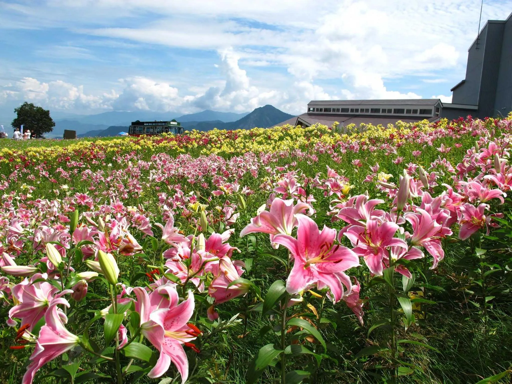 Neighbourhood in Yuzawa Toei Hotel