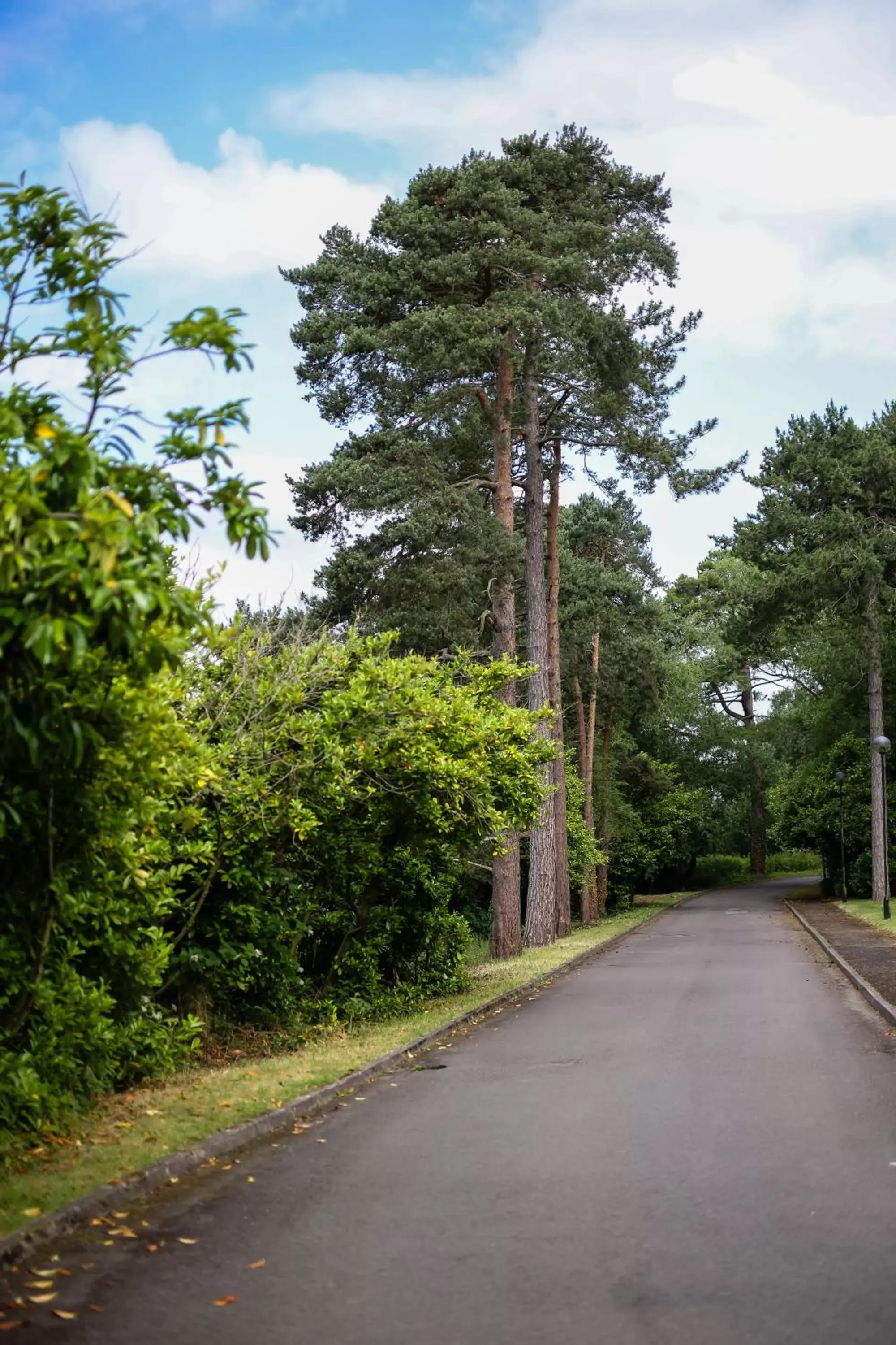 Garden in Mercure Shrewsbury Albrighton Hall Hotel & Spa