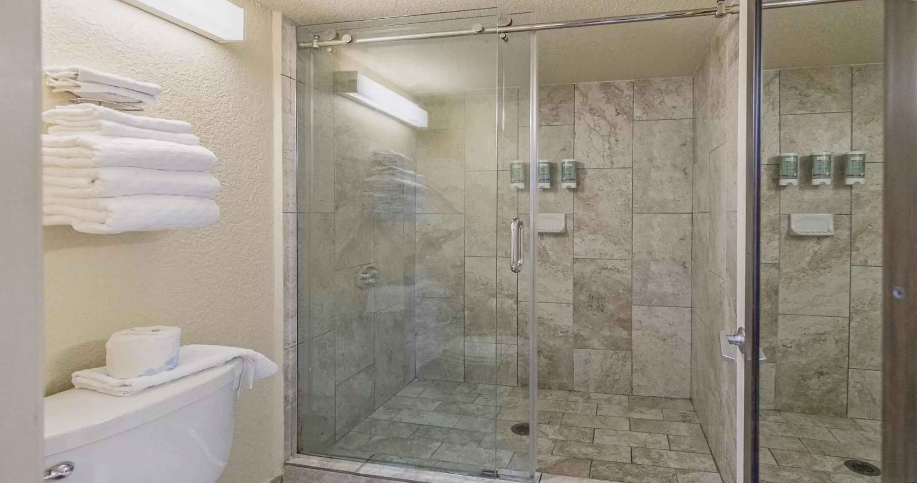 Shower, Bathroom in Best Western Roseville Inn