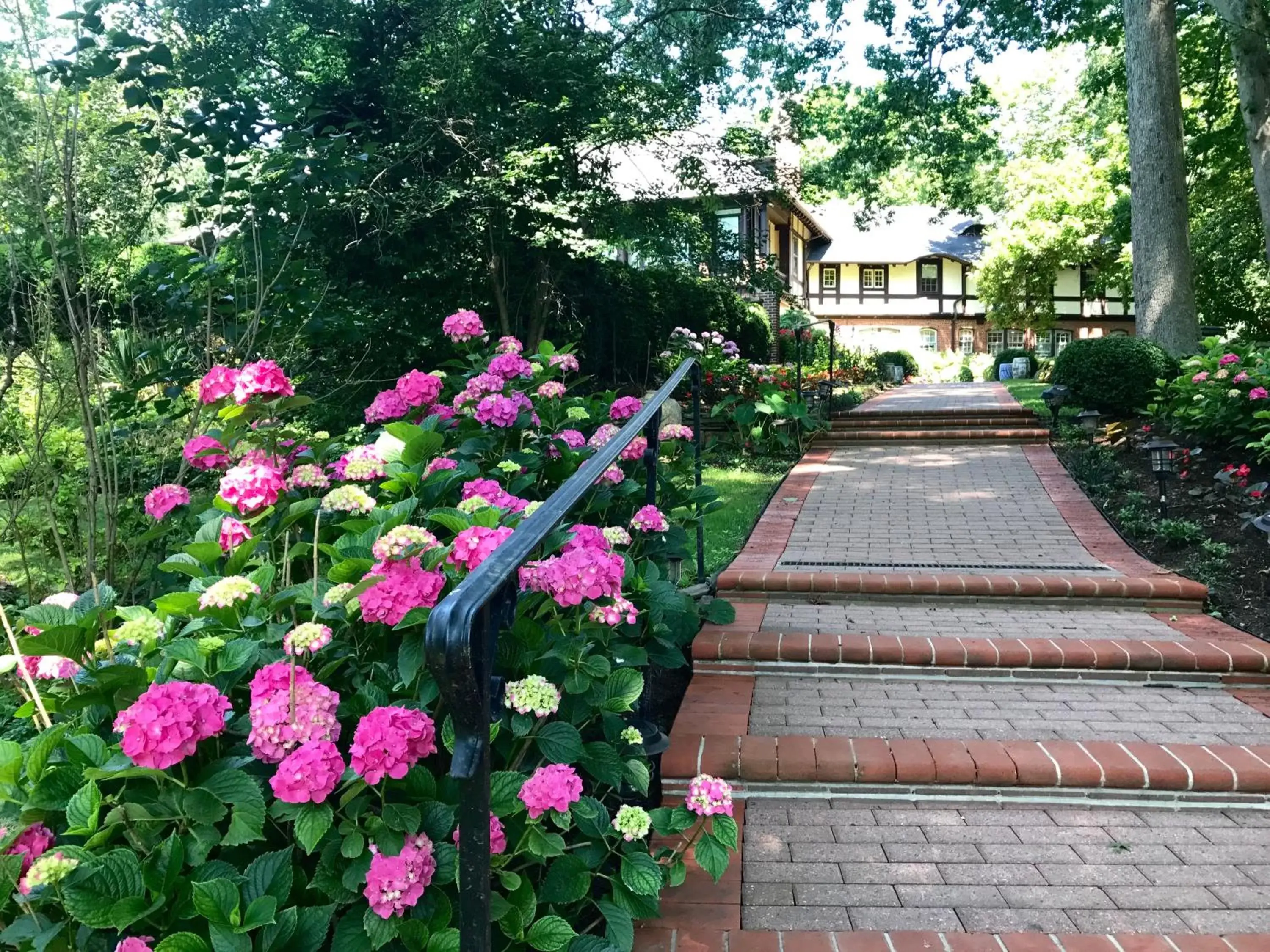 Garden in Gramercy Mansion