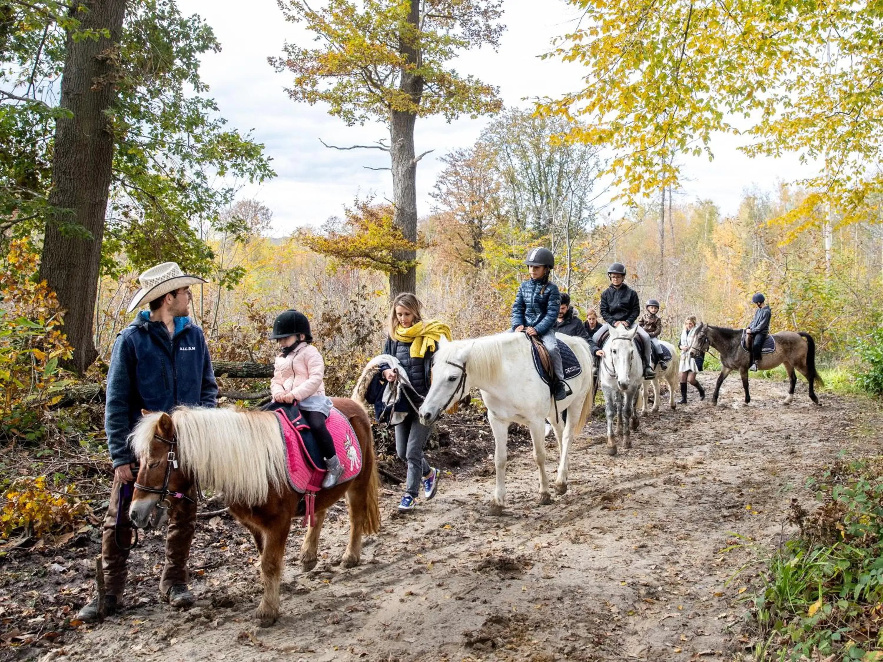 Garden, Horseback Riding in Novotel Domaine de Maffliers