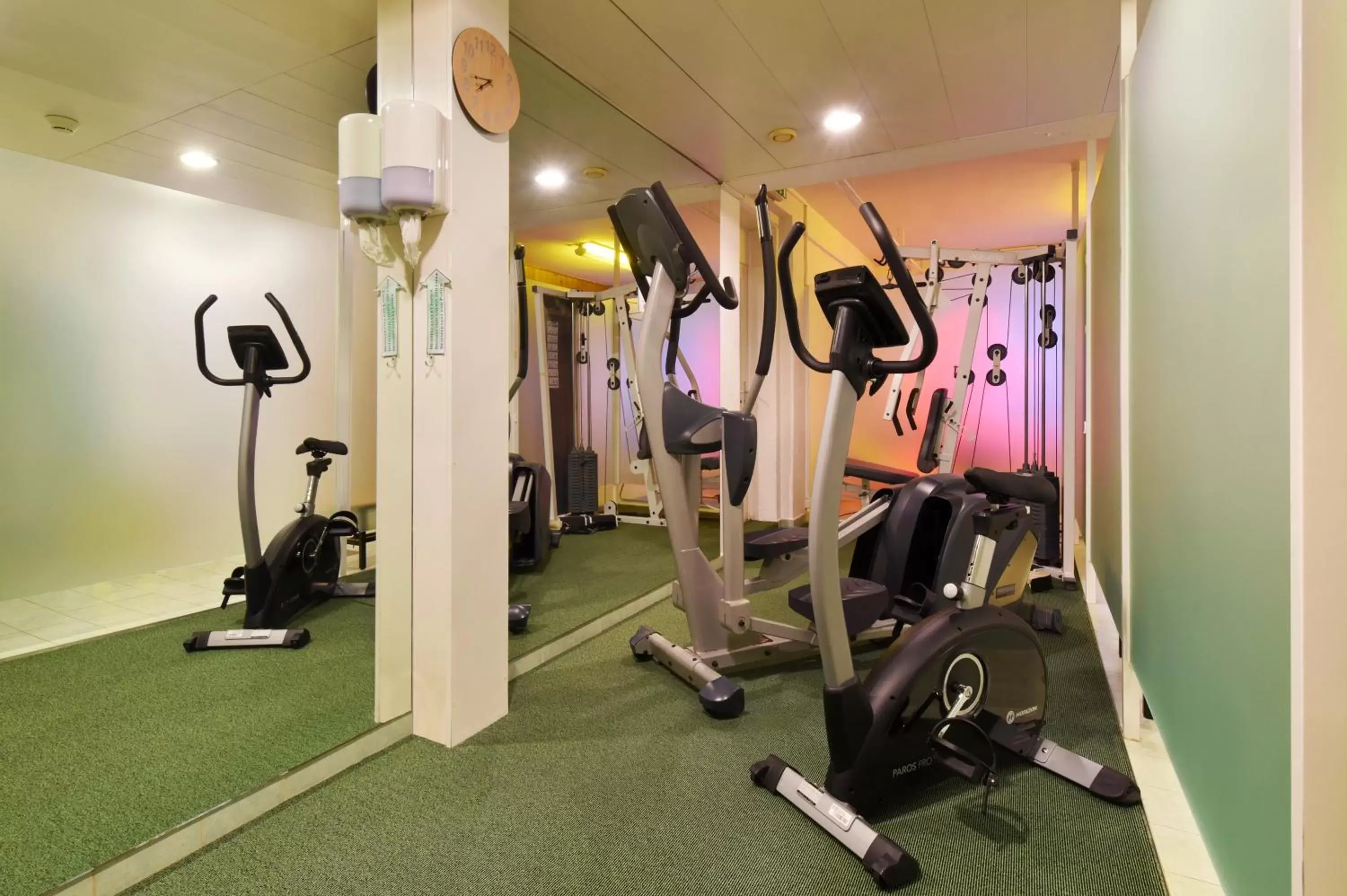 Fitness centre/facilities, Fitness Center/Facilities in Hôtel Bellerive