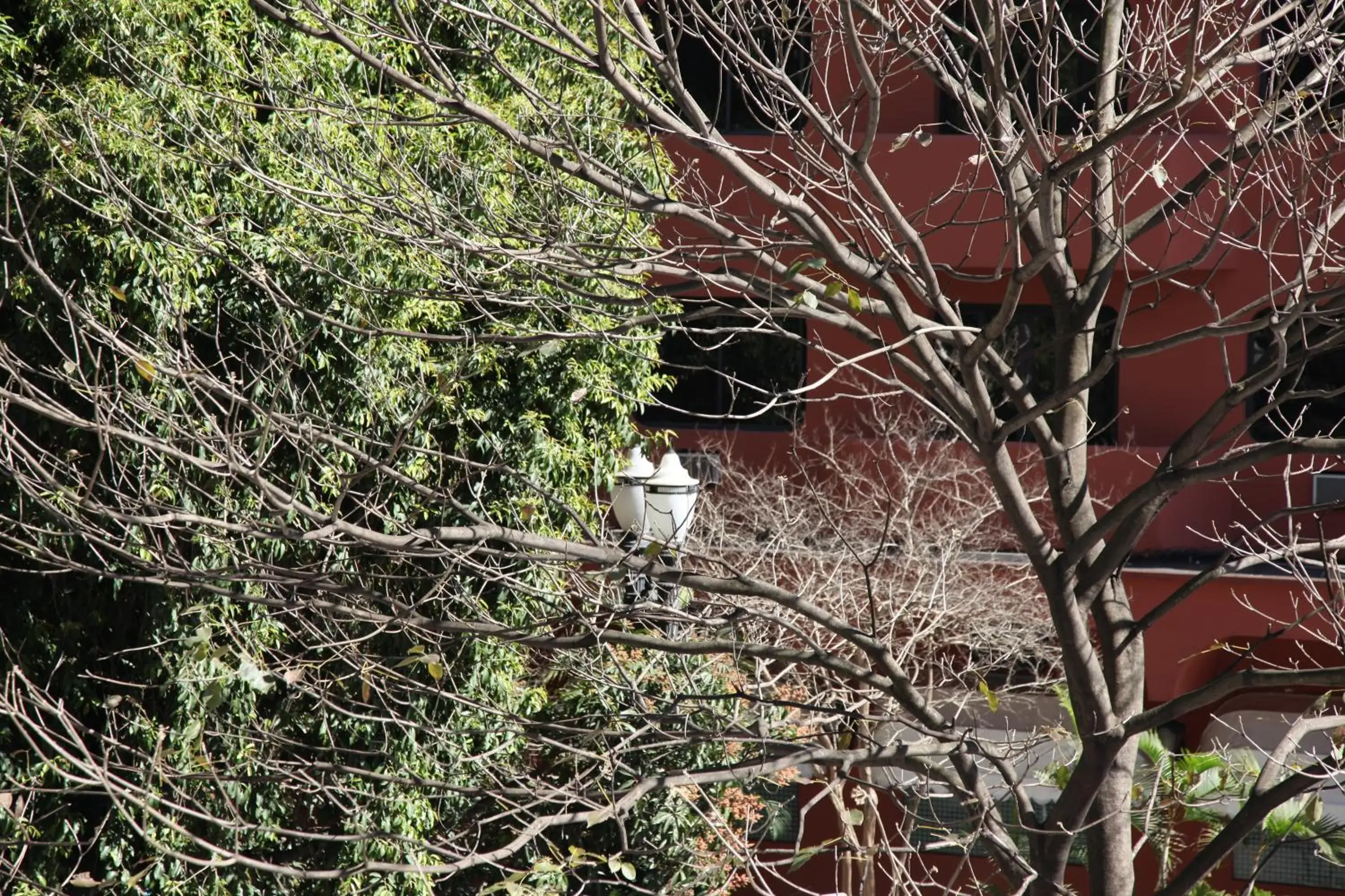 Facade/entrance in San Michel Hotel Facade/entrance in San Michel Hotel