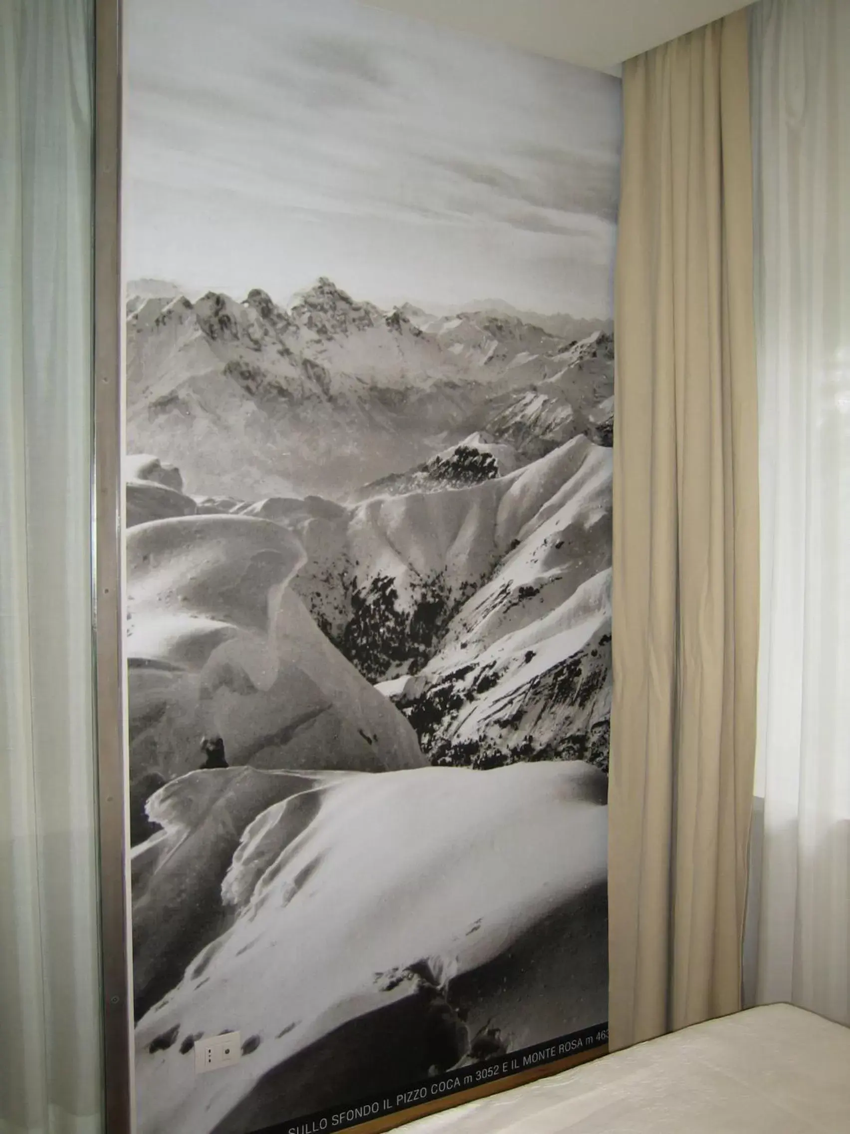 Decorative detail, Winter in Hotel Milano Alpen Resort Meeting&Spa