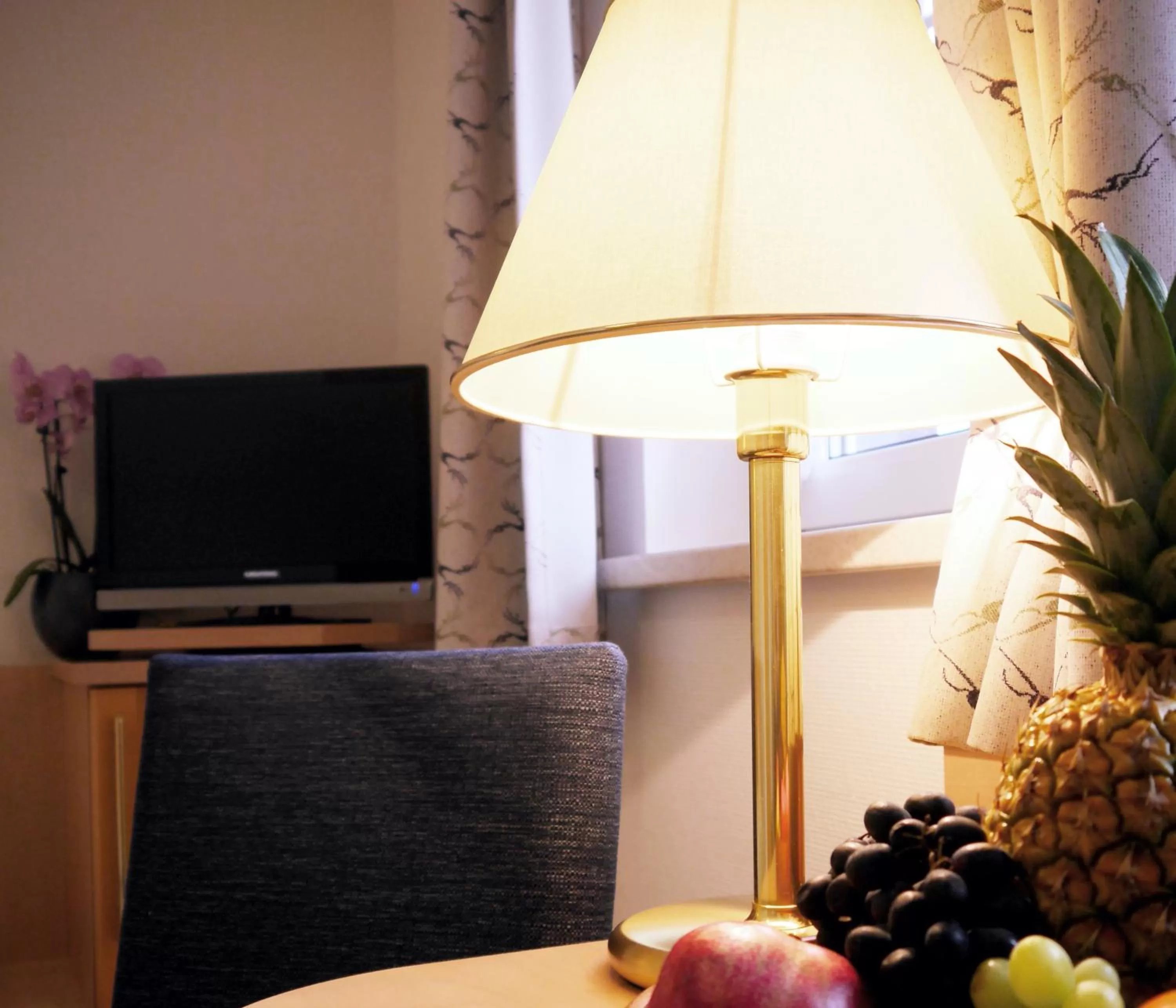 TV and multimedia in Berghotel Zollersteighof