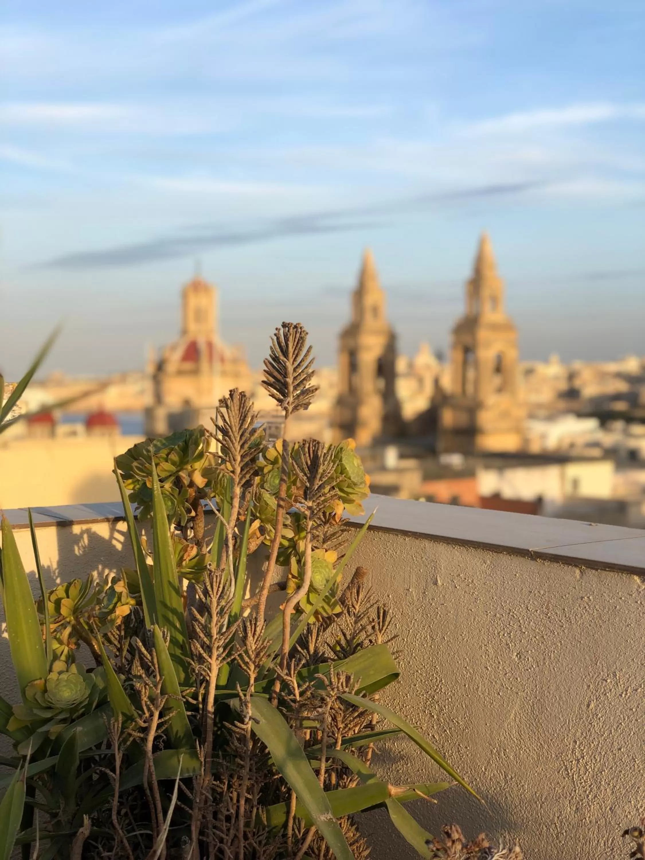 Nautilus Boutique Townhouse