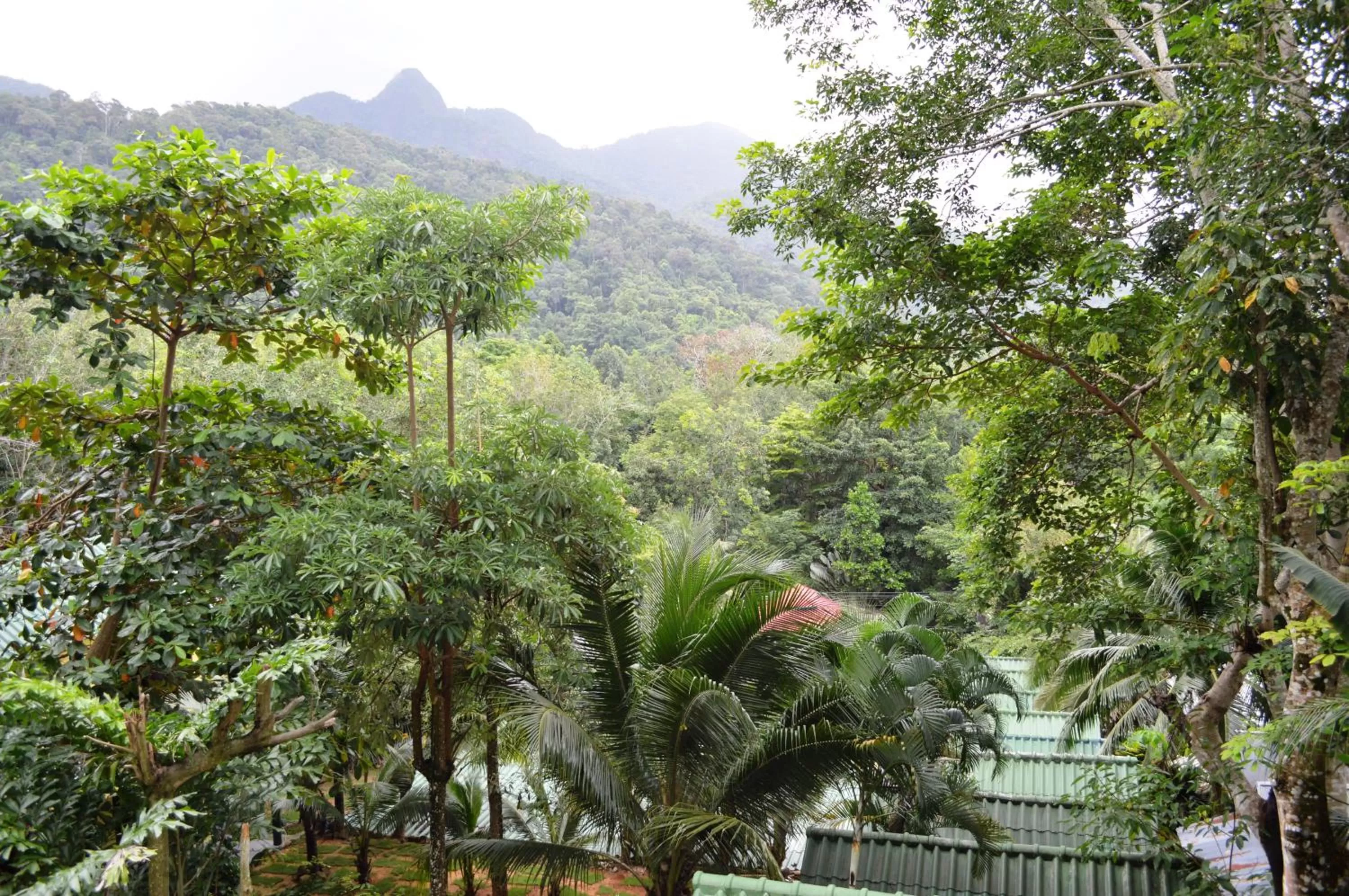 Mountain view in Island Lodge