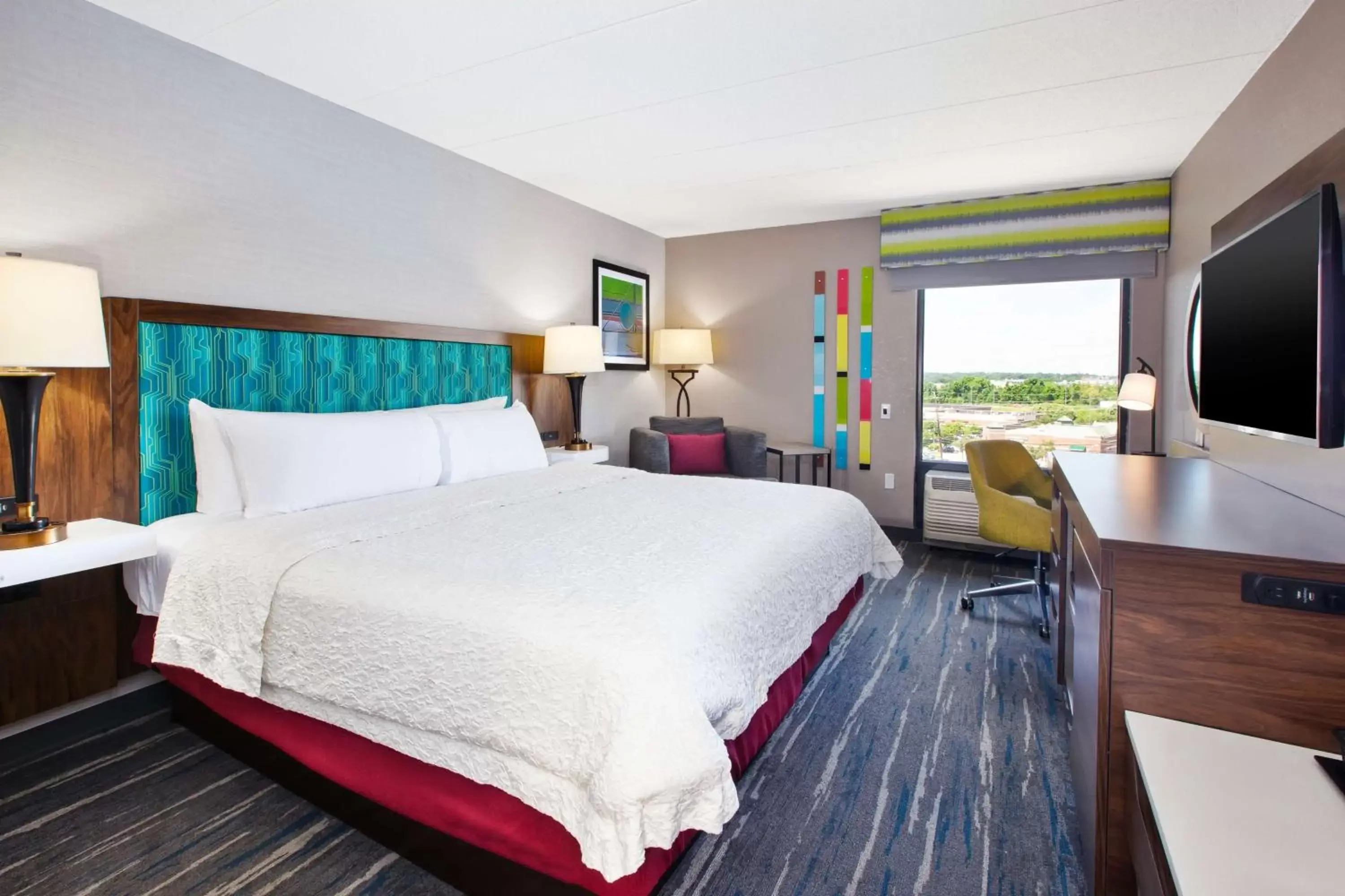 King Room with Accessible Tub - Mobility and Hearing Access/Non-Smoking in Hampton Inn College Park King Room with Accessible Tub - Mobility and Hearing Access/Non-Smoking in Hampton Inn College Park