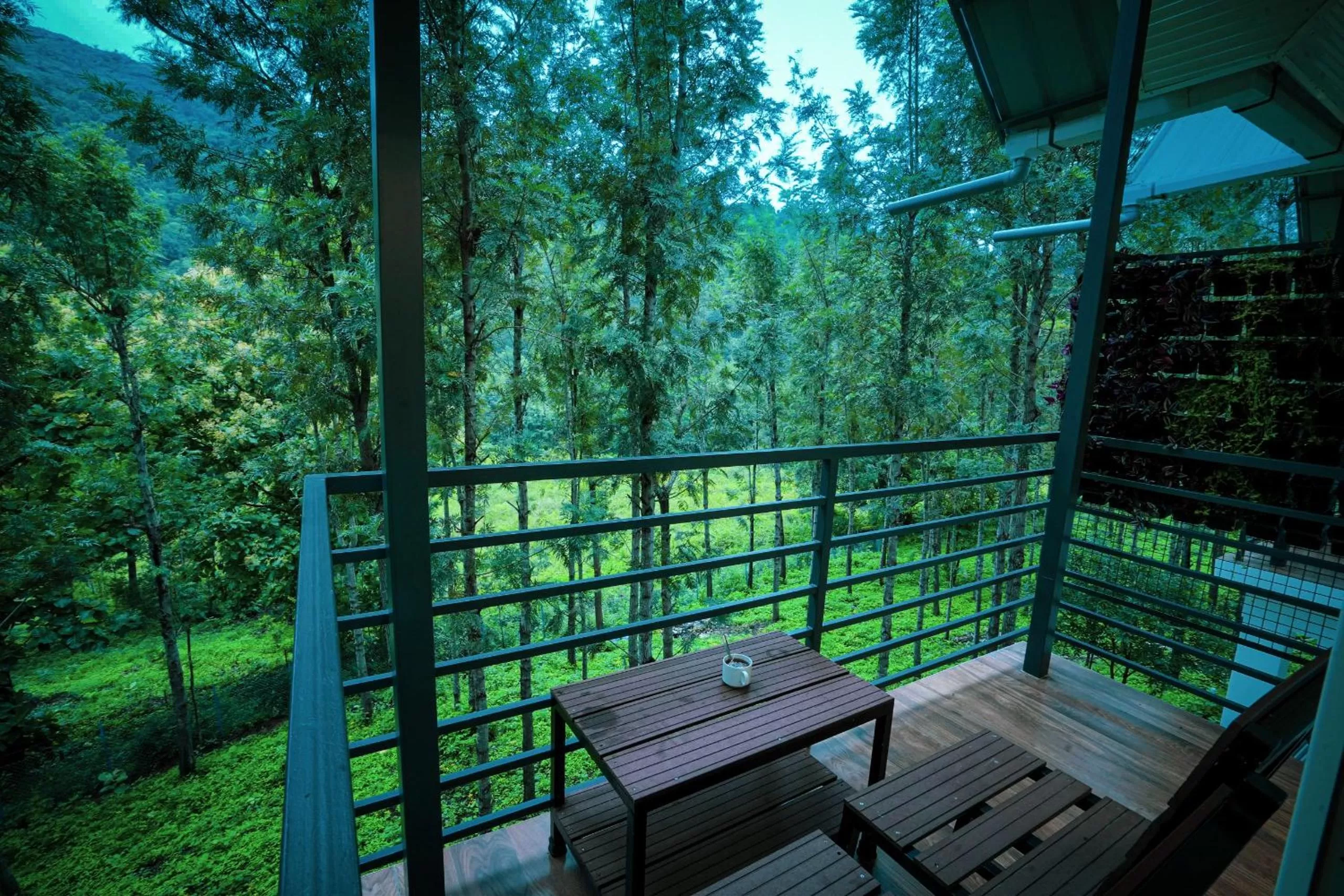 View (from property/room) in Misty Range Resorts