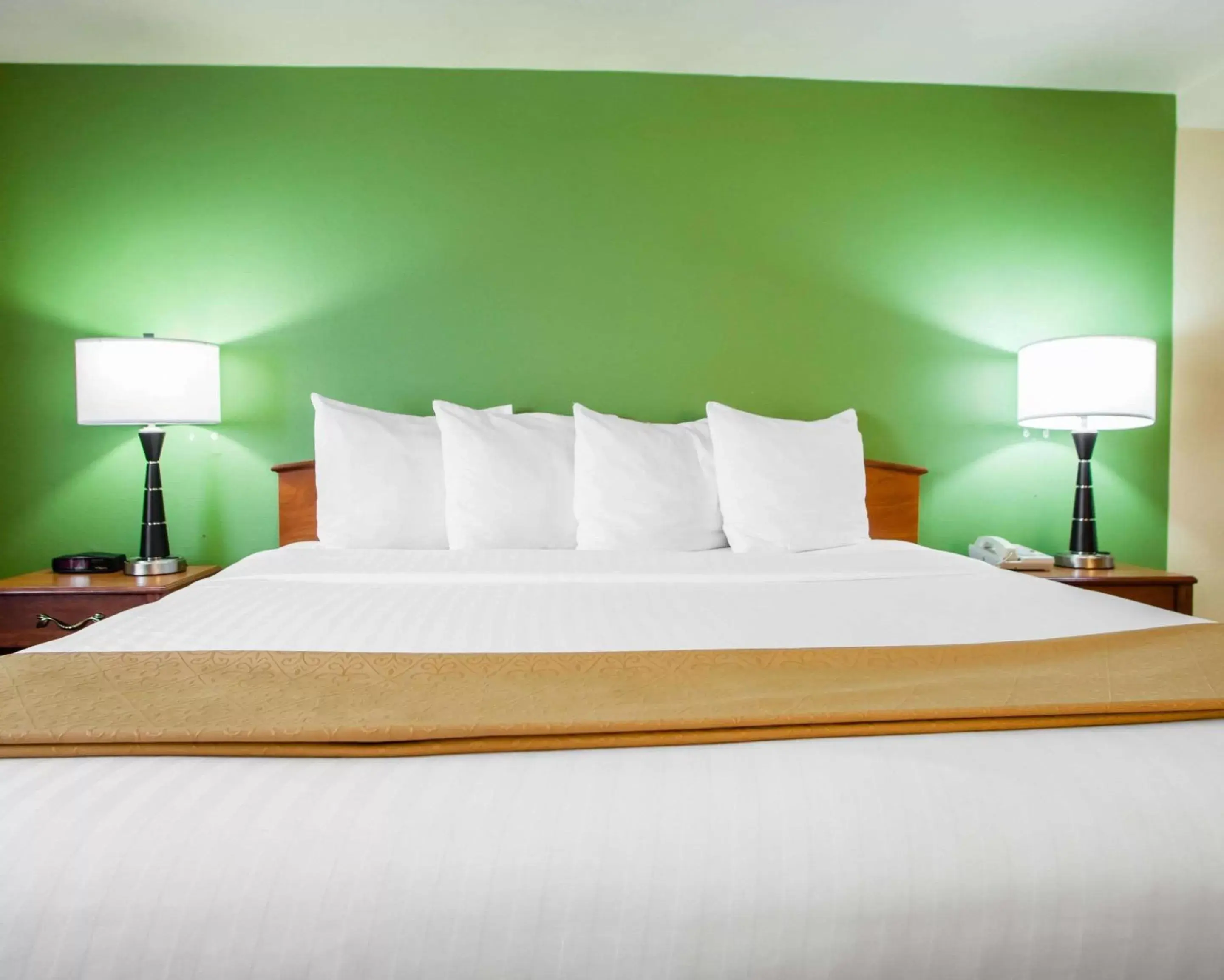 Photo of the whole room, Bed in Quality Inn Bolingbrook I-55