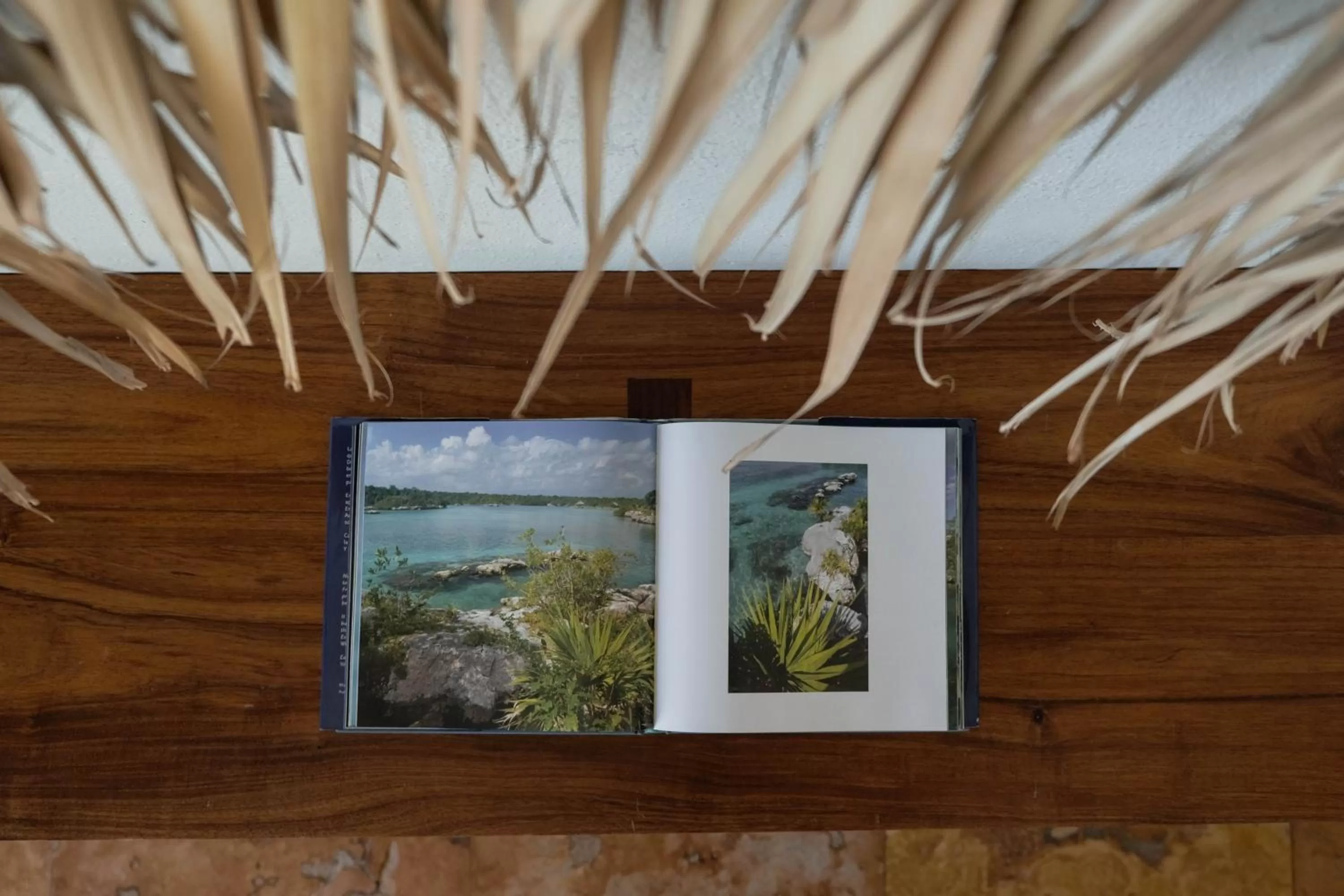 Decorative detail in Mereva Tulum