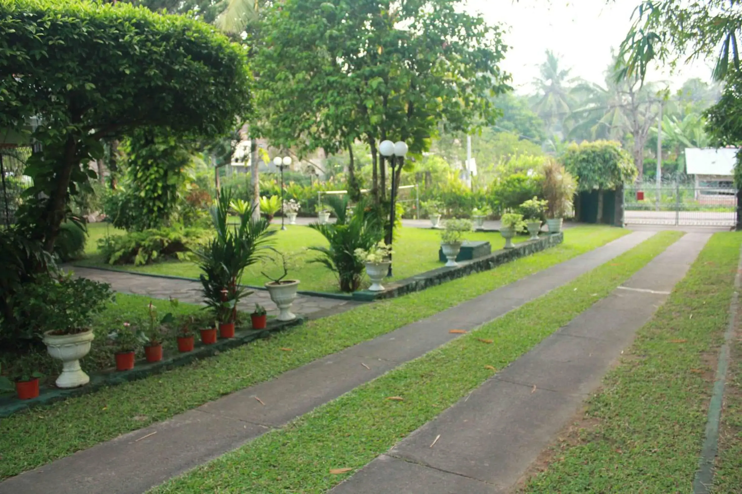 Bird's eye view, Garden in Villa Shade