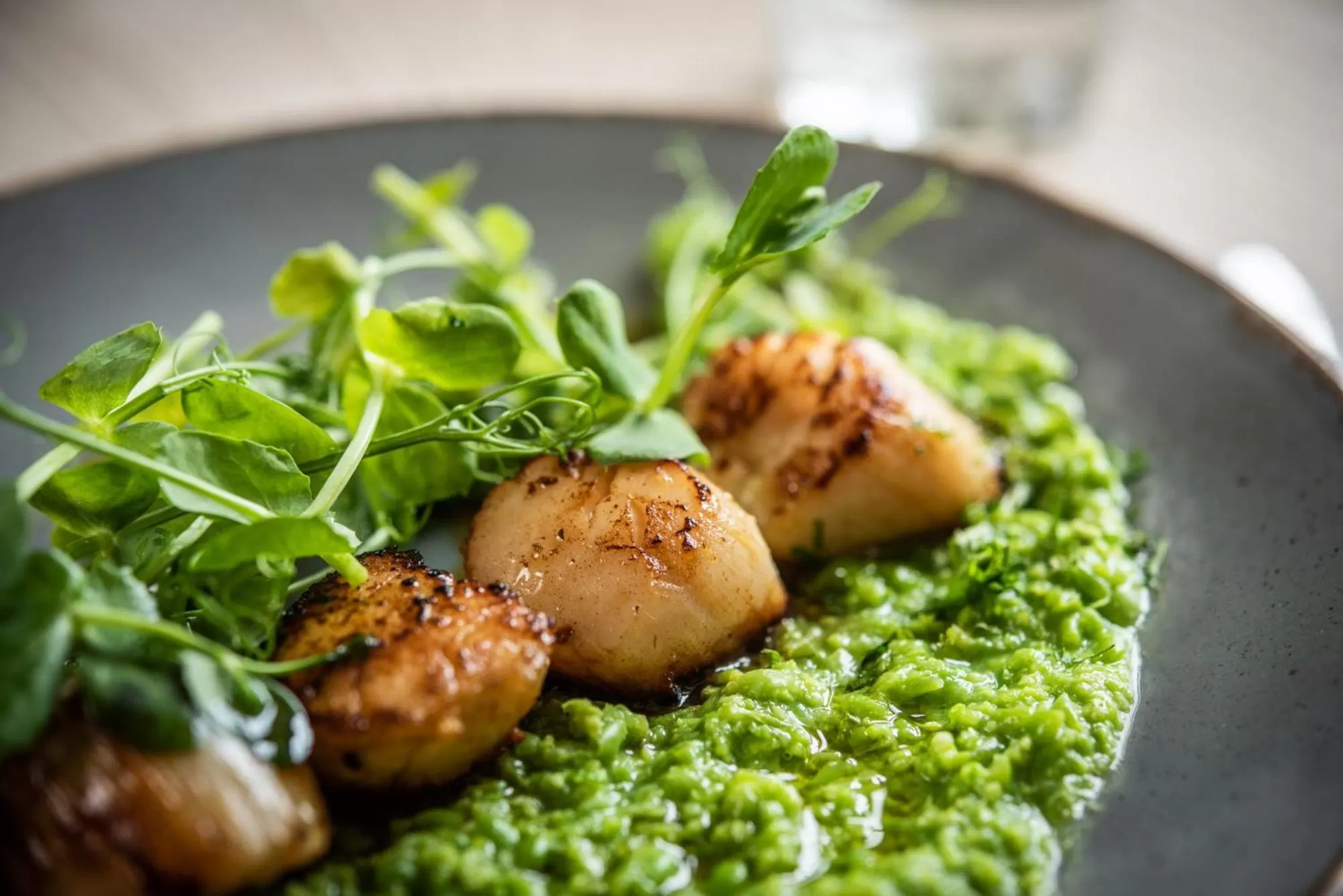 Food and drinks in The Kings Arms Otterton