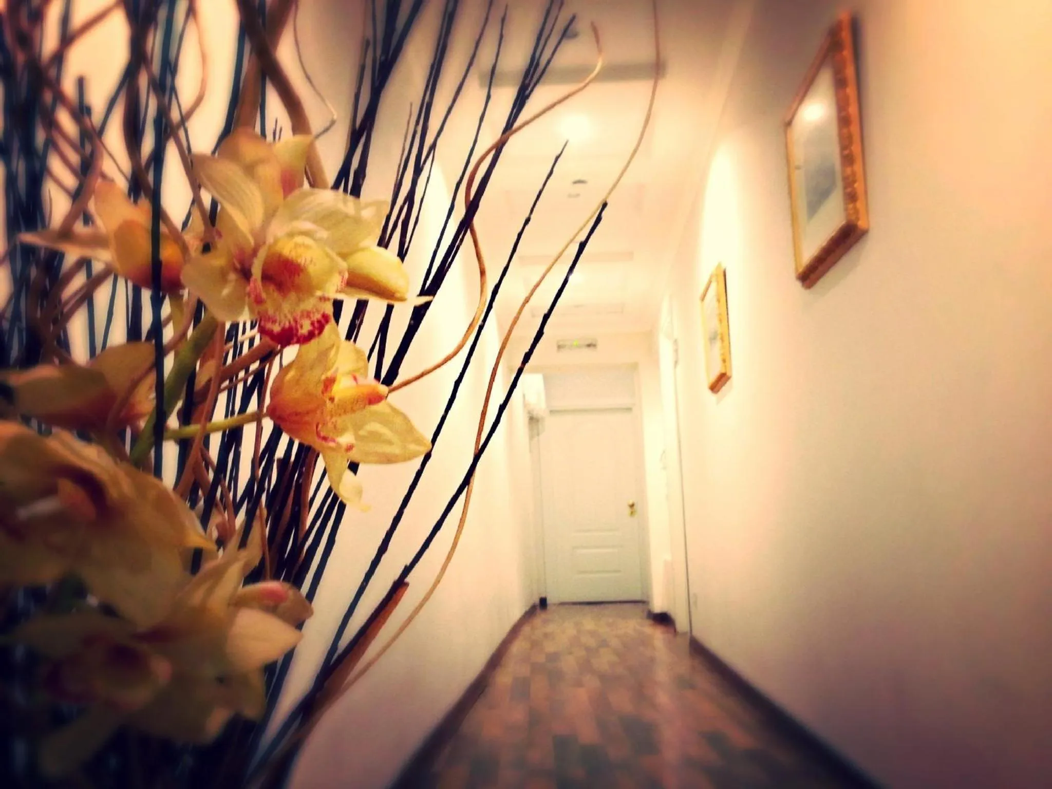 Decorative detail in Residenza Domiziano