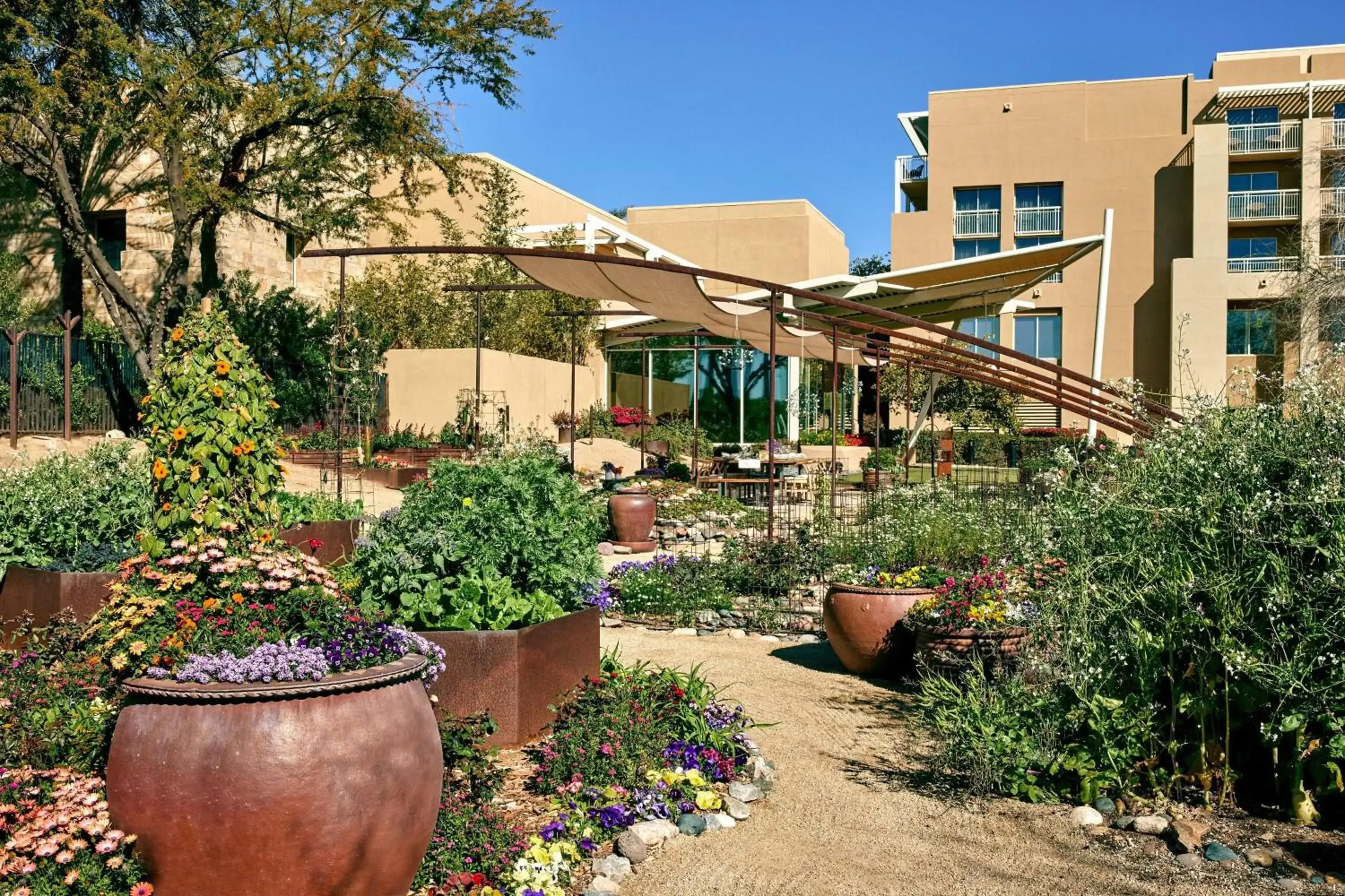 Other, Property Building in JW Marriott Phoenix Desert Ridge Resort & Spa