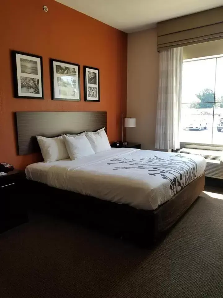 King Room - Accessible/Non-Smoking in Sleep Inn & Suites Dyersburg I-155