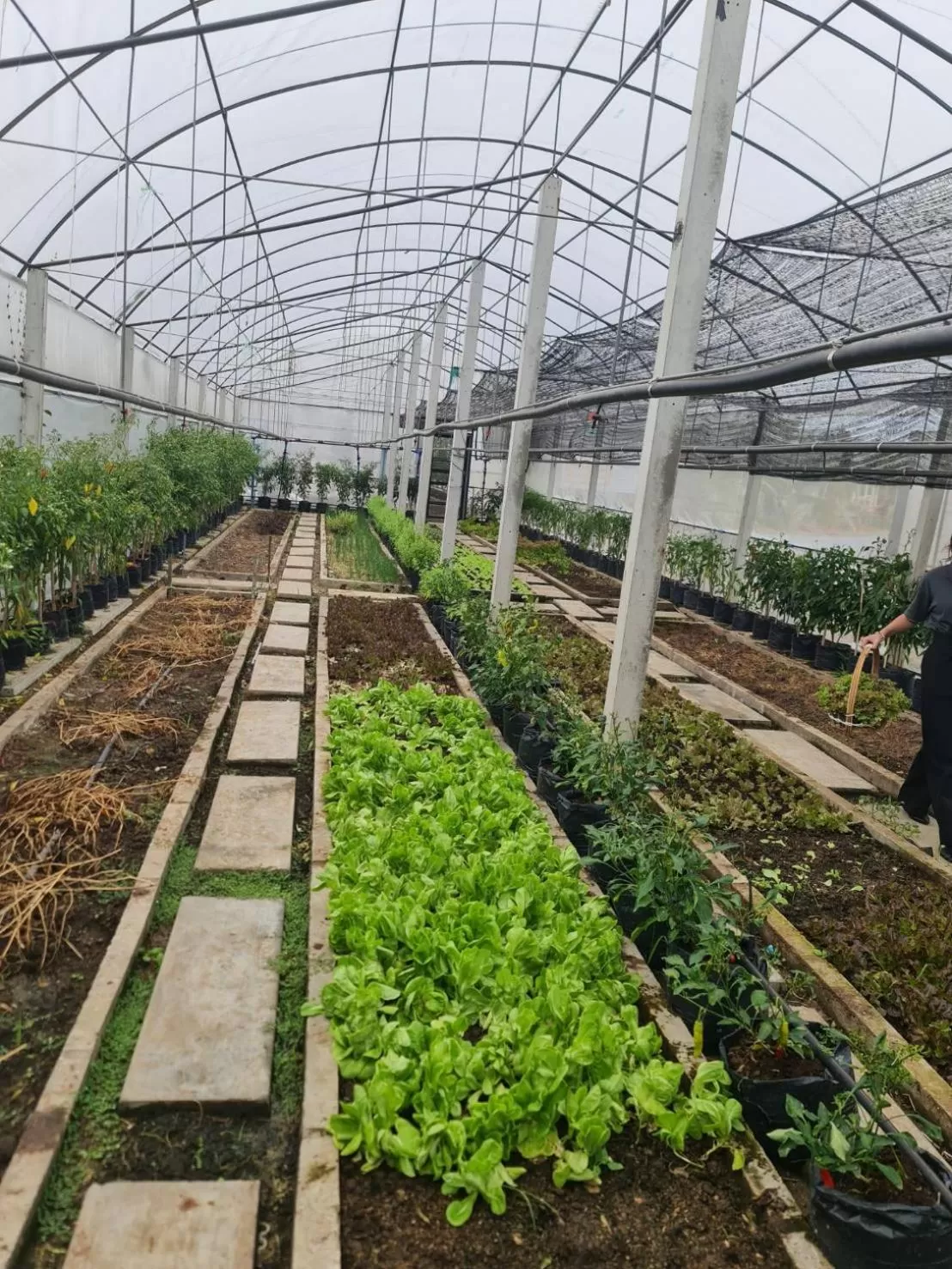 Garden in AisanA Hotel Korat