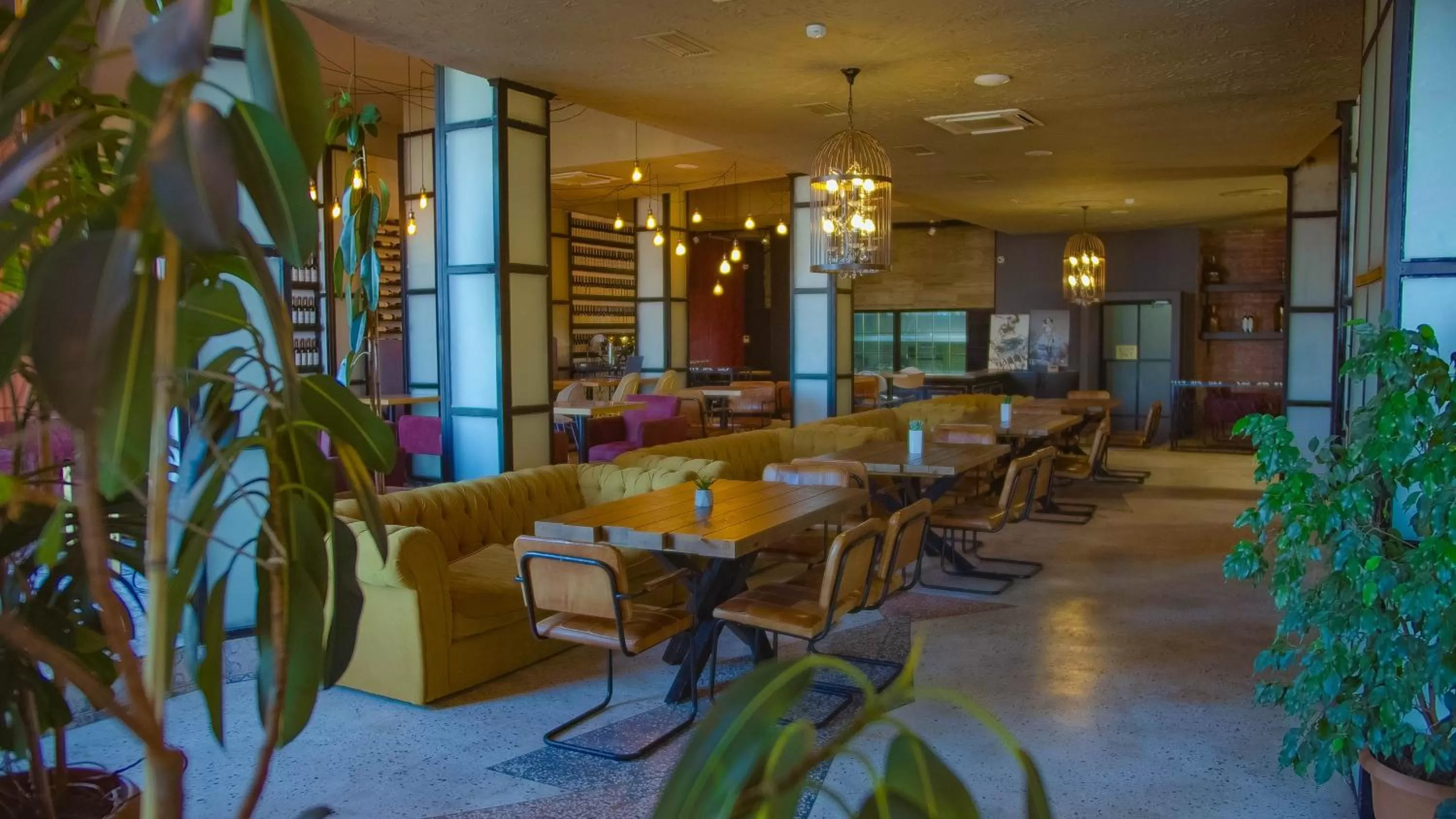 Restaurant/places to eat in Boulevardside