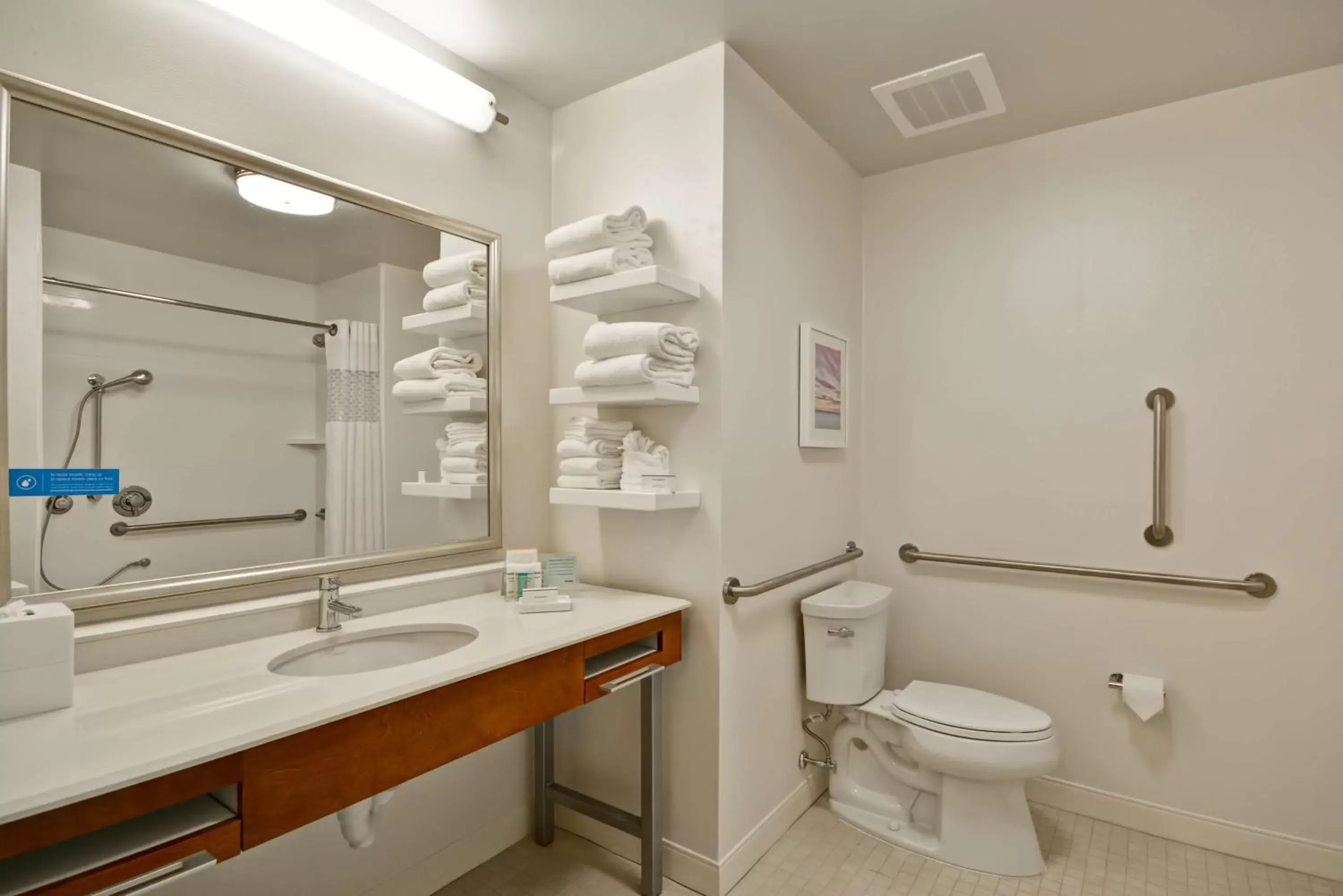 Bathroom in Hampton Inn & Suites Charleston Airport