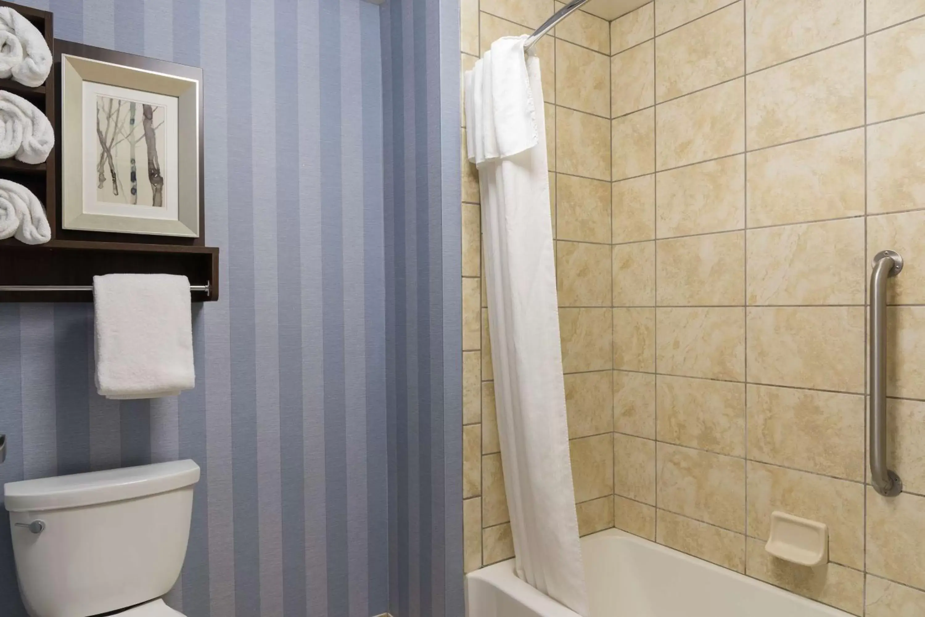 Bathroom in Homewood Suites by Hilton Bloomington
